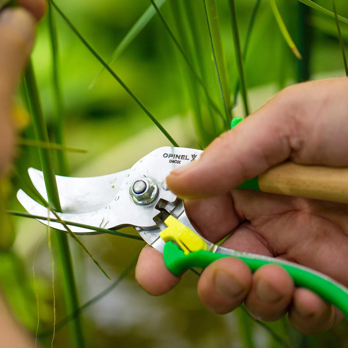 Opinel Forbici da Giardino Prairie 3 Posizioni Lama Acciaio Inossidabile Manico Faggio