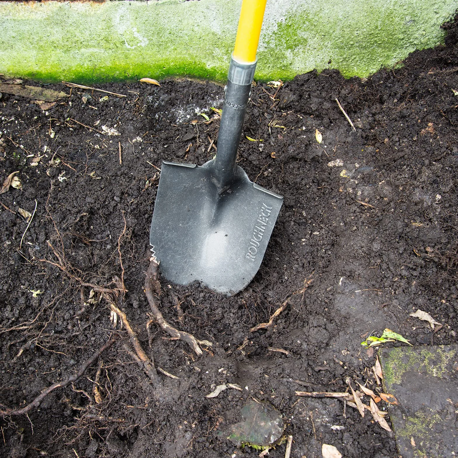 Roughneck ROU68044 - Pala seghettata con manico lungo, 1460 mm, colore: Giallo e Nero