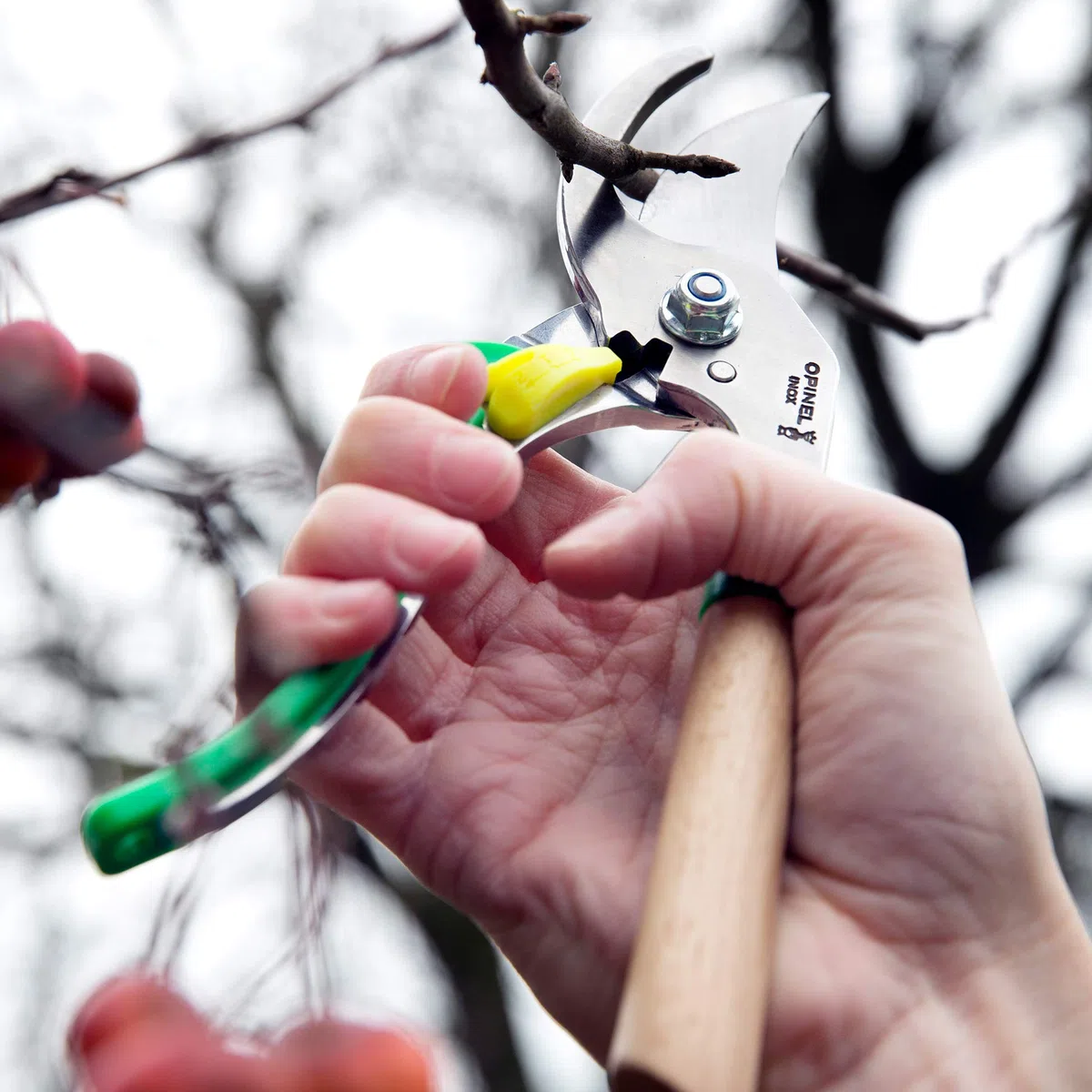 Opinel Forbici da Giardino Prairie 3 Posizioni Lama Acciaio Inossidabile Manico Faggio
