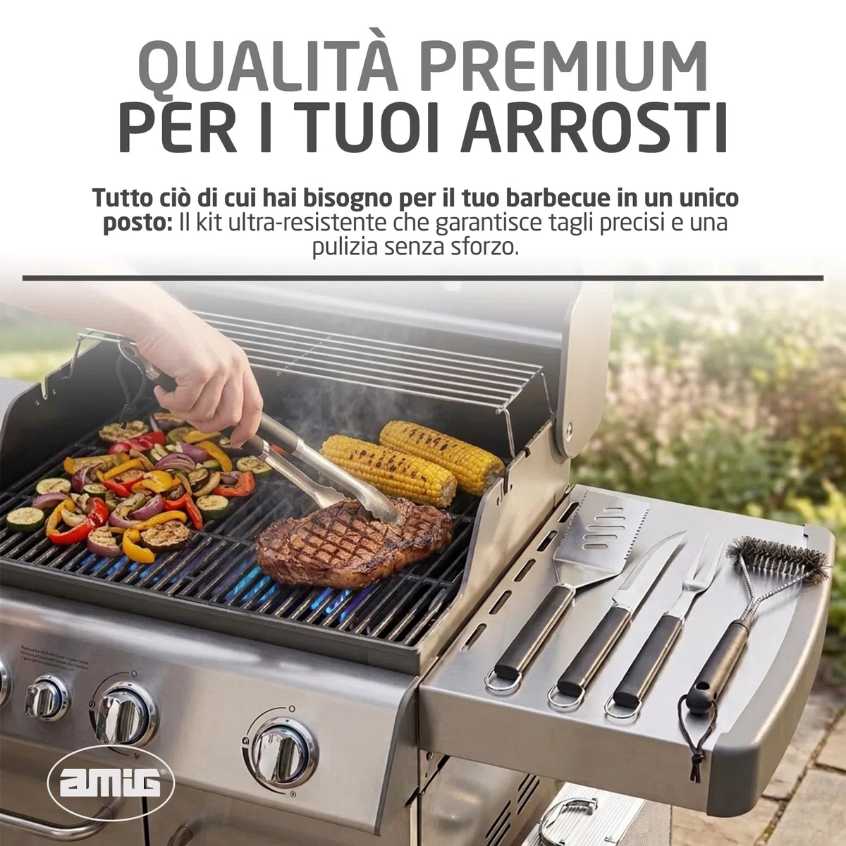 Amig Valigetta per Barbecue Acciaio Inossidabile Set Completo Utensili con Custodia AM01