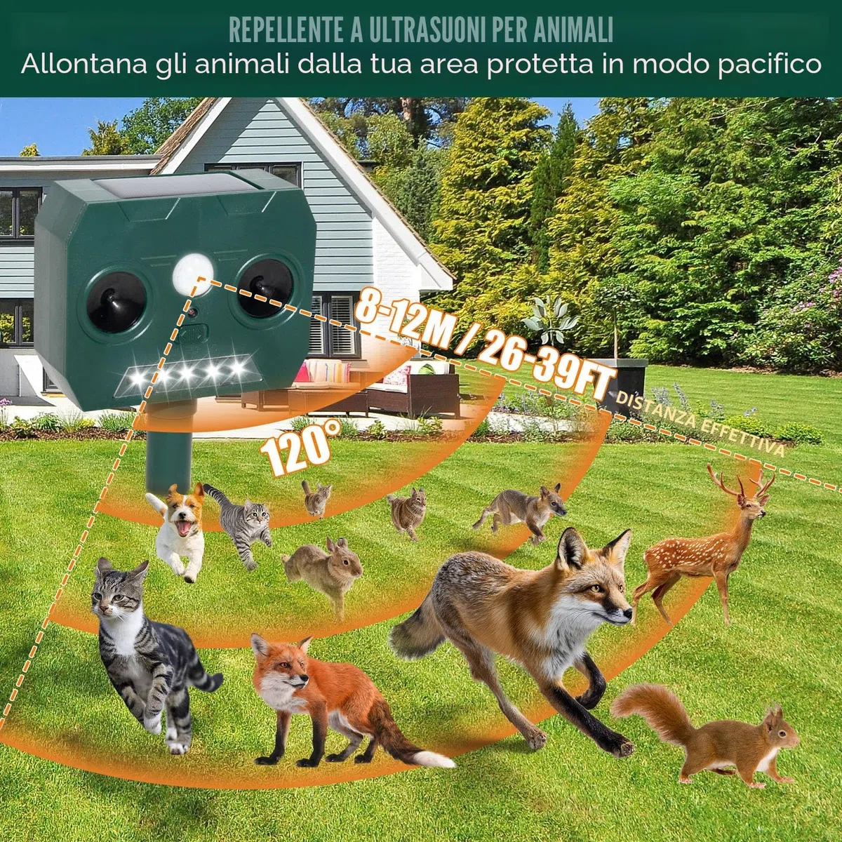 RAYGARD 2 Pezzi Dissuasore Gatti, Repellente per Volpi Ultrasonico Solare con Luce LED, 12m 120° Dissuasori per Piccioni Giardino IP45 Impermeabile per Gatti Volpi Cani Cervo Procioni