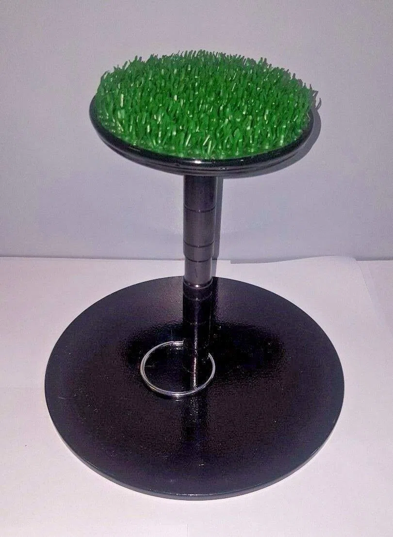 Nuovo Falconeria Acciaio Inox Blocco Piedistallo 6" Indoor Outdoor Astroturf