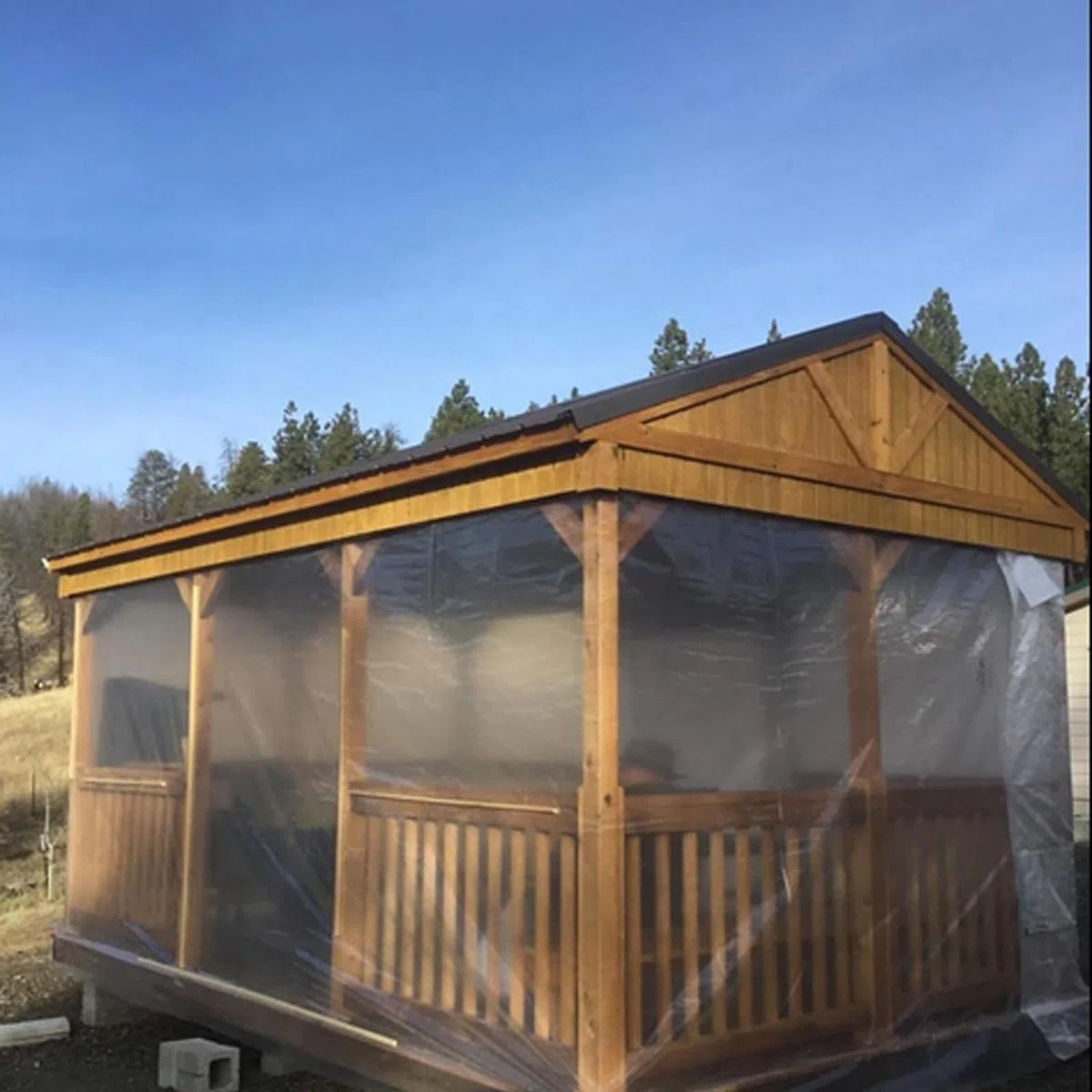 DAZZTIME 3 x 10M Telo Serra Trasparente,Telo Protettivo per Serra,Telo Antigelo per Piante,Pellicola Spessore 100 Micron,Contro Raggi UV per progetti Industriali, Residenziali Agricoli