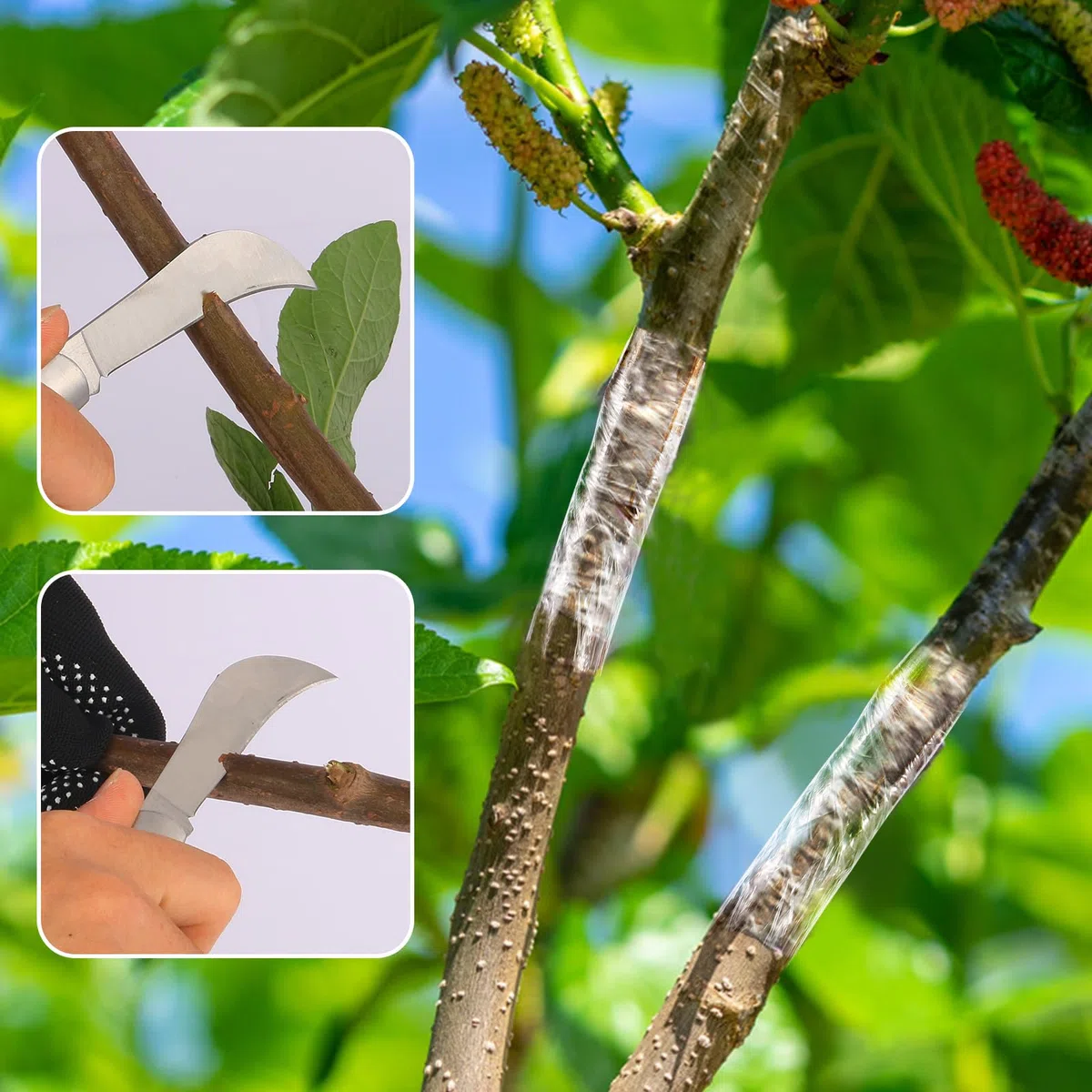 4 Pezzi Coltello da Innesto,Kit di Utensili per Innesto con Nastro Pellicola Innesti Guanti da Giardinaggio,Coltello da Potatura Alberi da Frutto per Piante di Fiori e Rami Germogliare