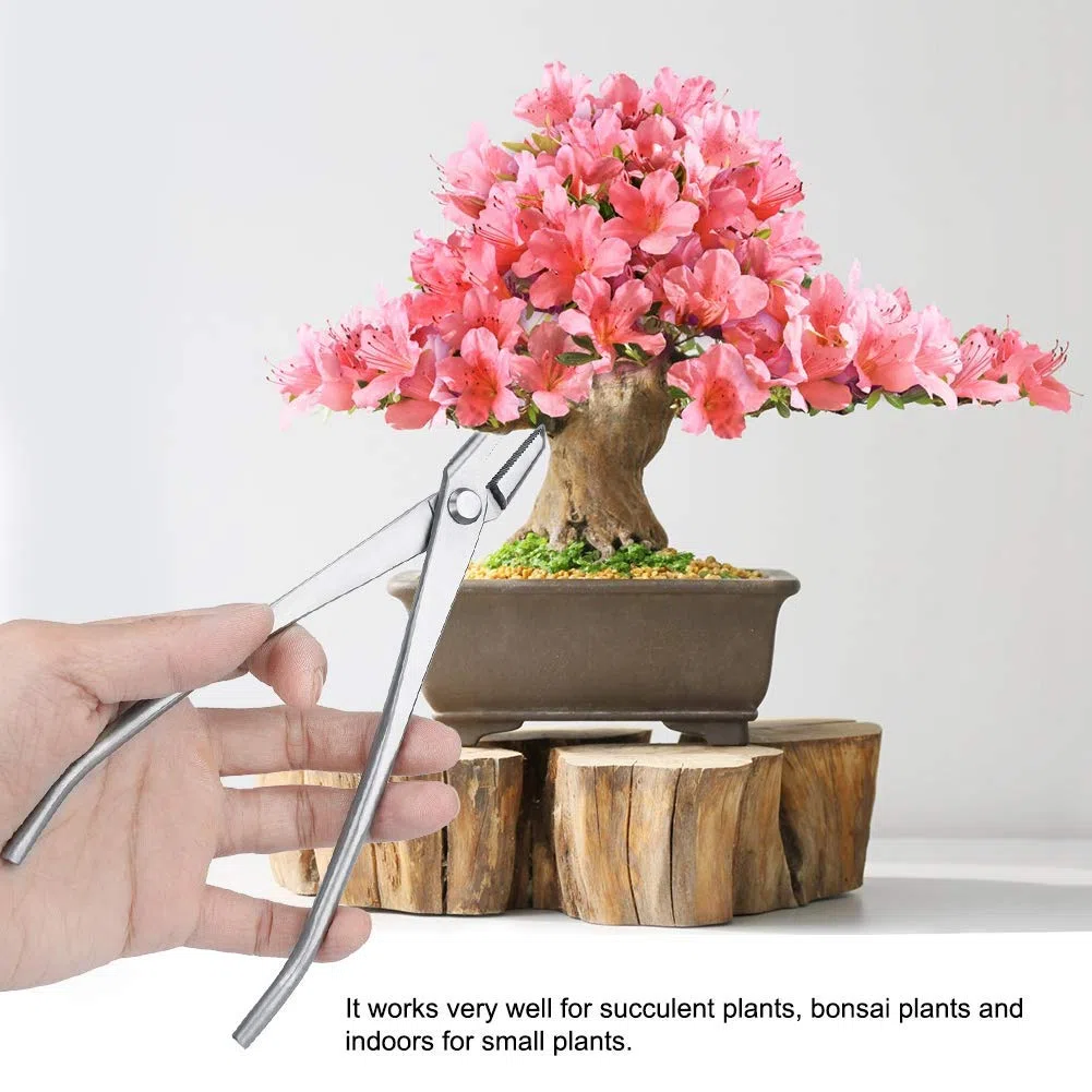 Attrezzo per Tagliare I Bonsai Cesoia Pomelli in Acciaio Inox con Tagliente Giardinaggio Attrezzi da Taglio