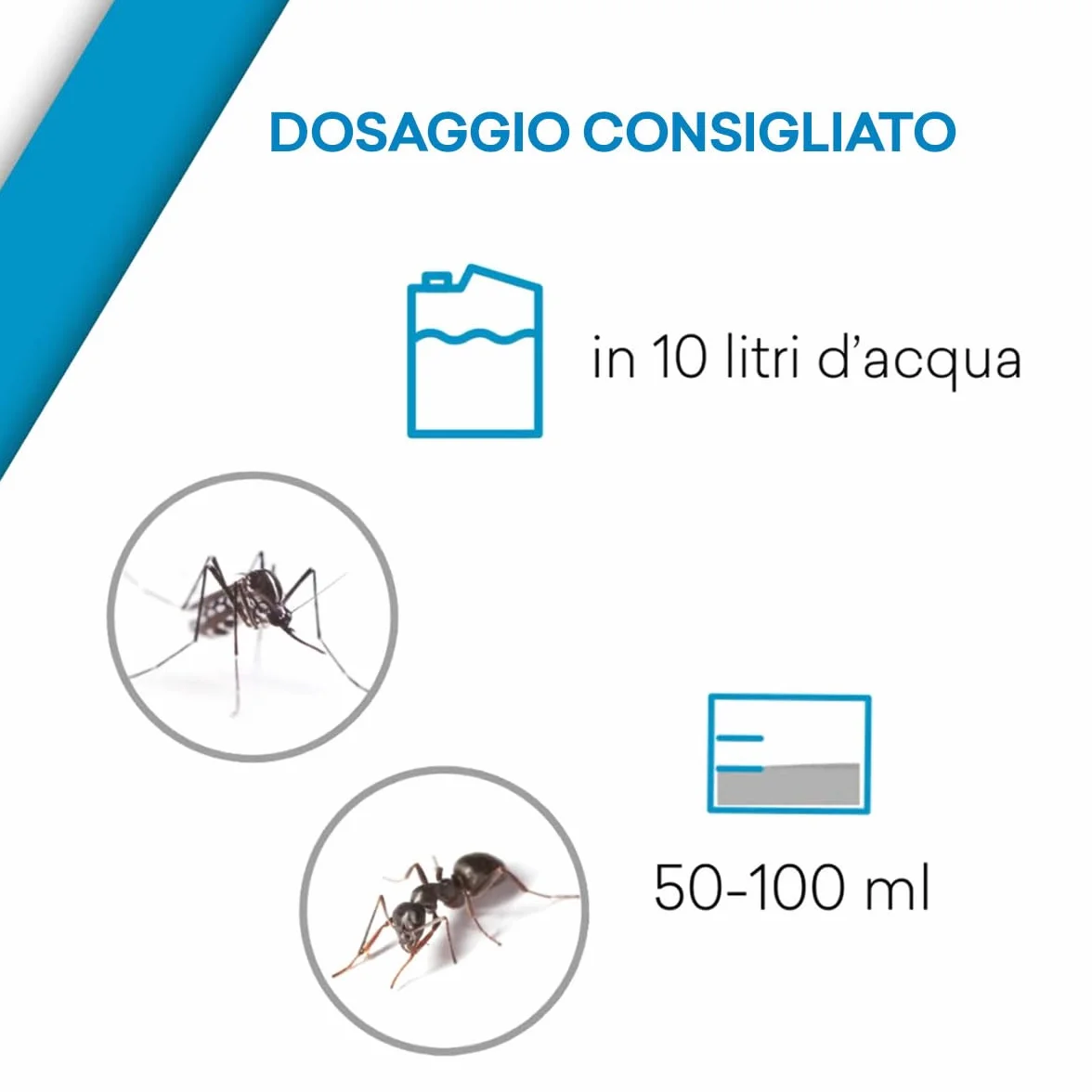 Insetticida Concentrato Insetti Striscianti e Volanti, Microincapsulazione, Made in Italy - 1 litro