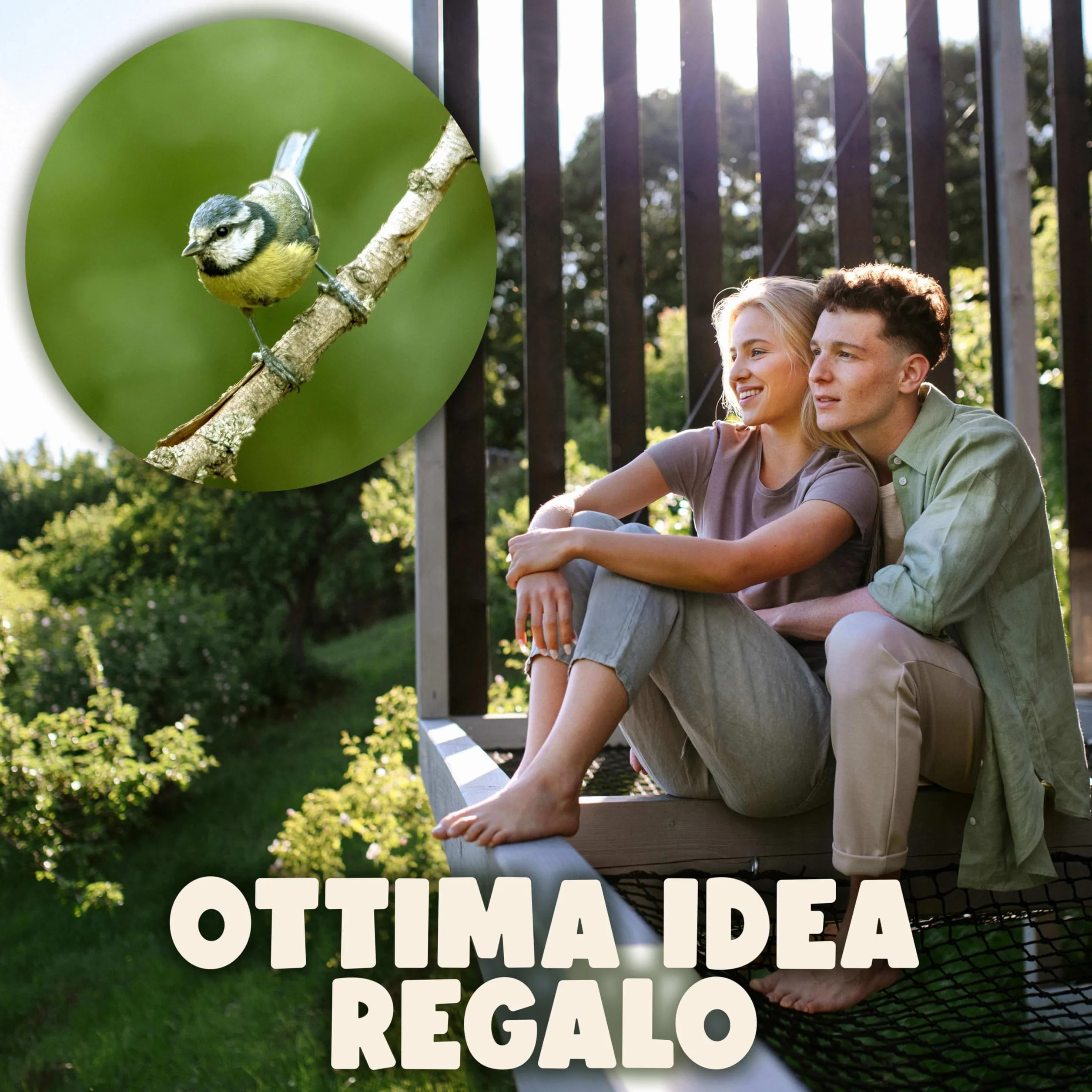 SWISSINNO Mangiatoia per Uccellini da Esterno Davos SMART BIRDS Casetta Cibo Uccelli Selvatici 2 Scomparti Antispreco Verde