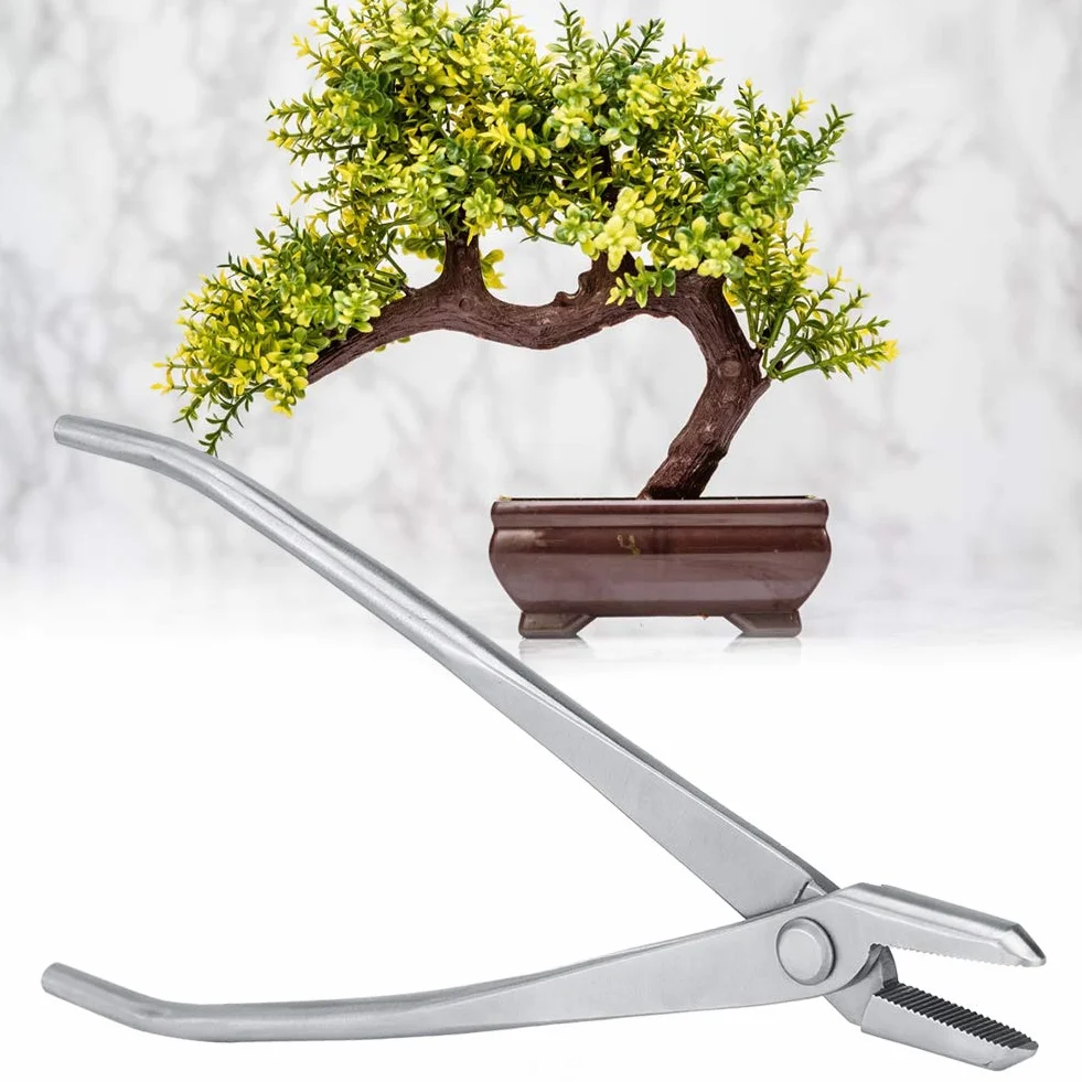 Pomello per bonsai in acciaio inox pinza piegafilo per bonsai per la cura del giardino pinza piegafilo per bonsai strumento di modellazione per bonsai pinze per Cutters pour Bonsaï