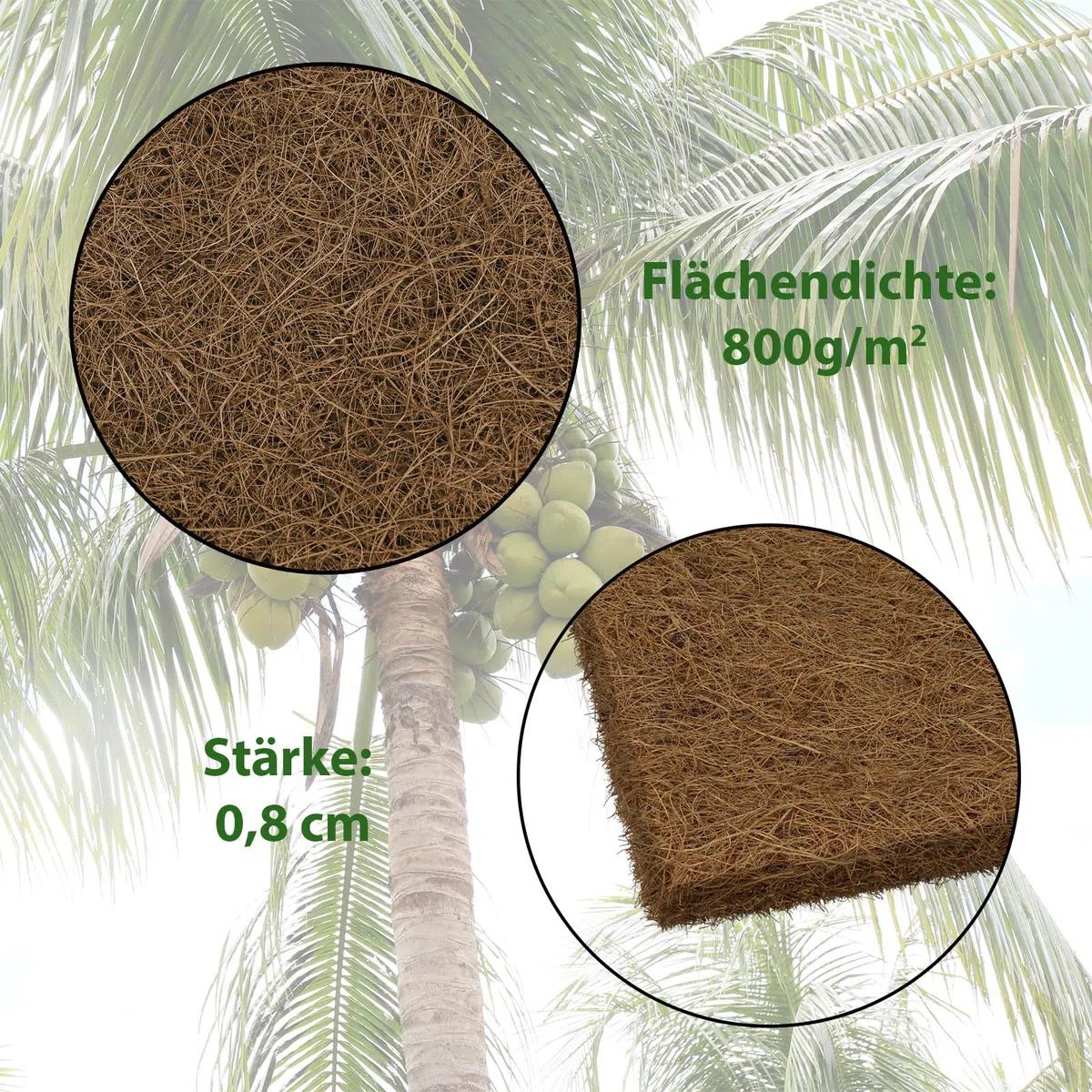 Montafox Stuoia Fibra Cocco Varie Misure - Protezione Invernale Piante Fibra Cocco Rivestita Lattice Naturale - Rotolo Protezione Freddo Prodotto Naturale, Taglia:100 cm x 10 m