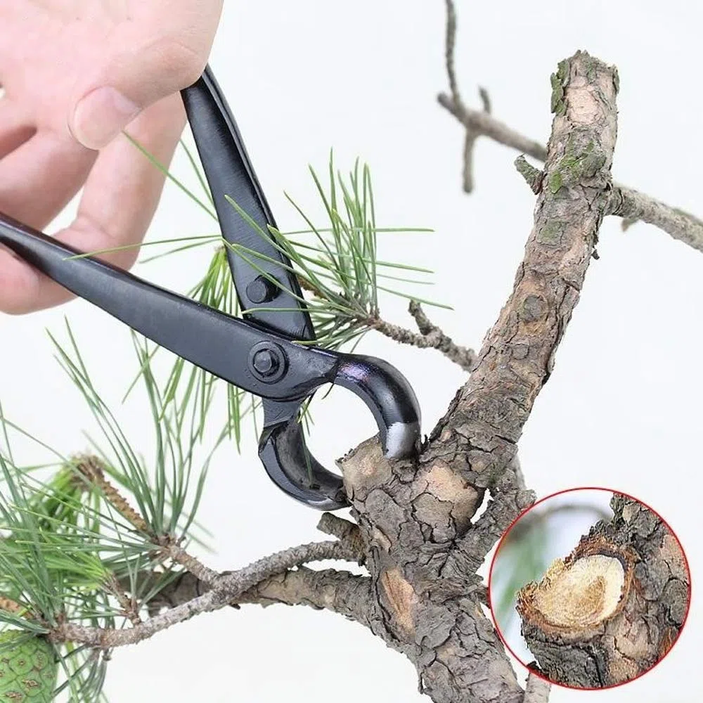 MBLUE Professionale Giardino Ramo Cutter 210mm Manganese Lega di Acciaio Bordo Rotondo Bonsai Strumento di Taglio Principiante Ramo Albero Strumento trim