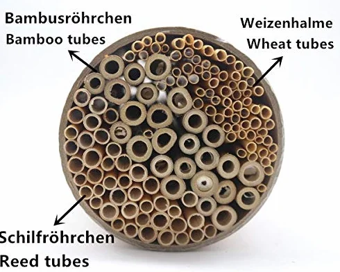 Tubi di bambù 10 cm per api selvatiche insetti inverno giardino balcone