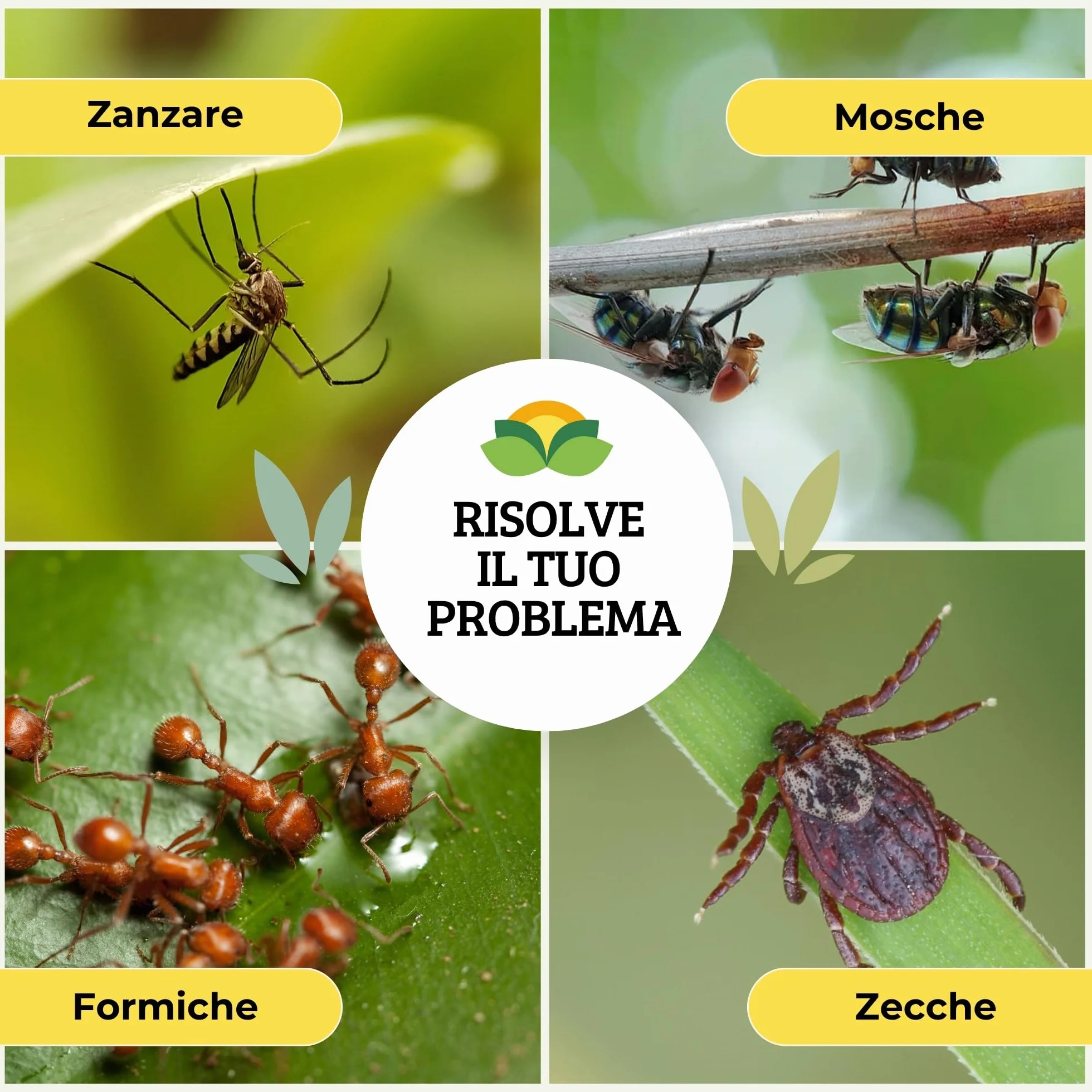 Albagarden Insetticida Antizanzare Giardino Cipermetrina Concentrato 1 Litro Protezione 4 Settimane