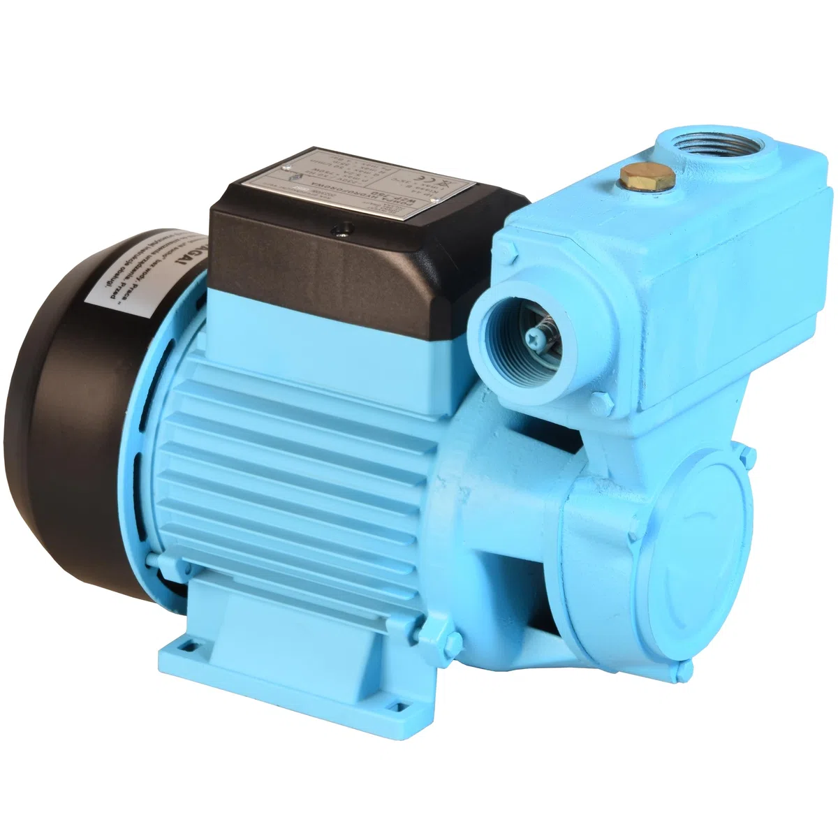 Pompa dell'acqua WZP 750 (750 W, 3000 l/h, altezza di mandata 55 m) - per acqua pulita - pompa da giardino, per irrigazione, dell'acqua piovana