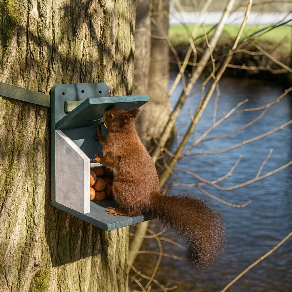 Casetta per scoiattoli resistente alle intemperie, molto stabile e sicura, sistema di ventilazione per alimenti secchi di scoiattolo, casa di scoiattoli