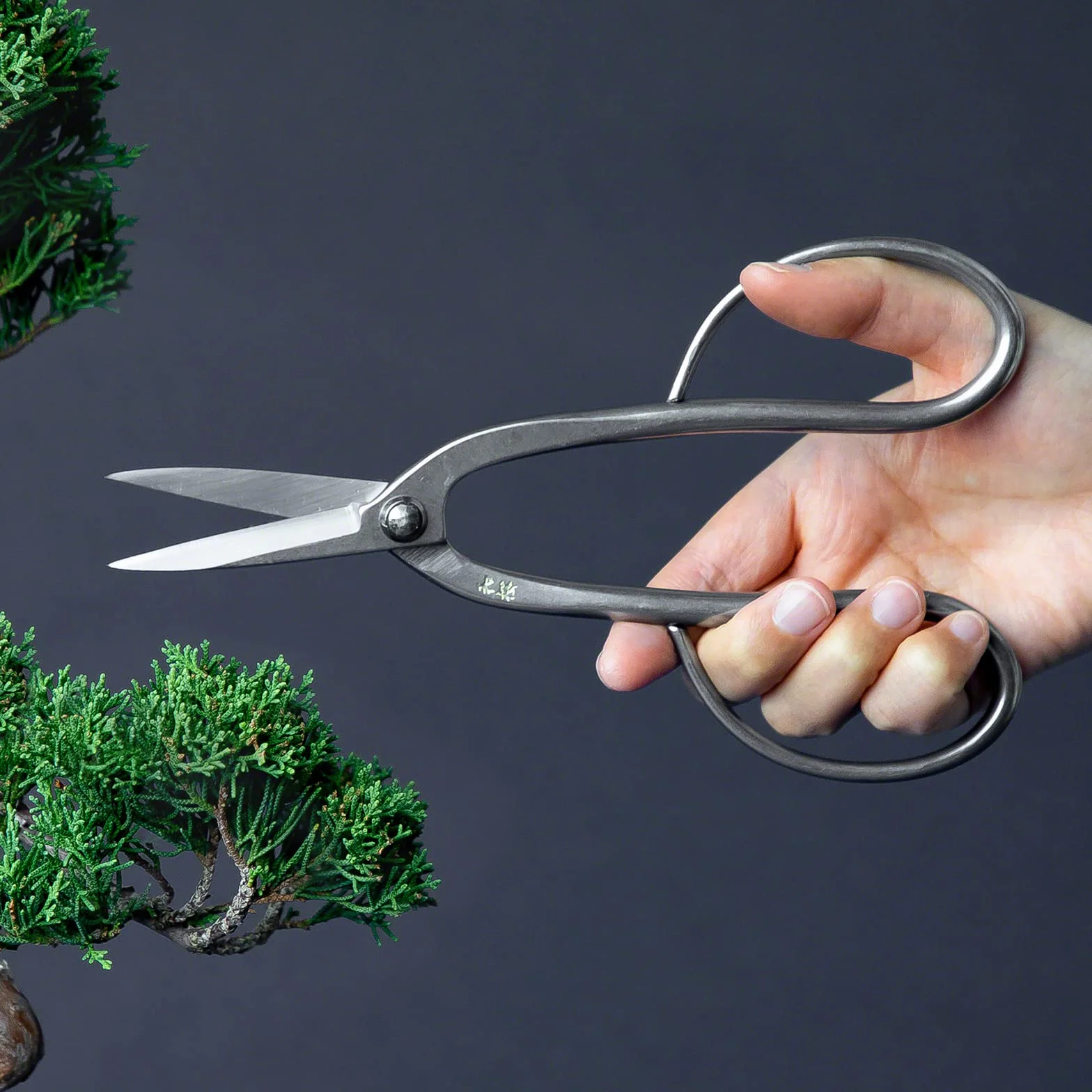 Forbici Ashinaga per Bonsai in Acciaio Inox Yasugi 200 mm Wazakura Giappone
