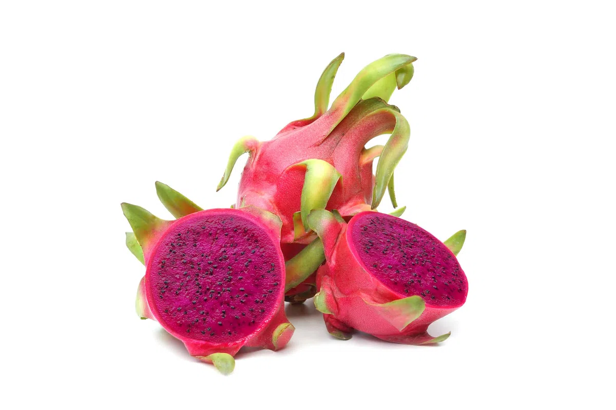 PITAYA TRIS GIALLA POLPA ROSSA BIANCA FRUTTO DEL DRAGO HYLOCEREUS UNDULATUS DRAGON FRUIT 3 PIANTE