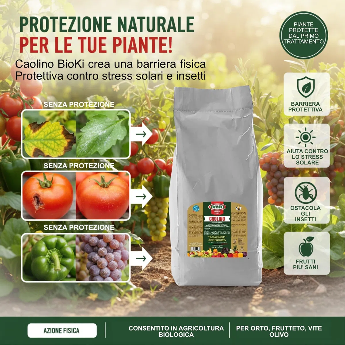 Caolino per agricoltura polvere di roccia sacco 8 kg - corroborante difese naturali piante