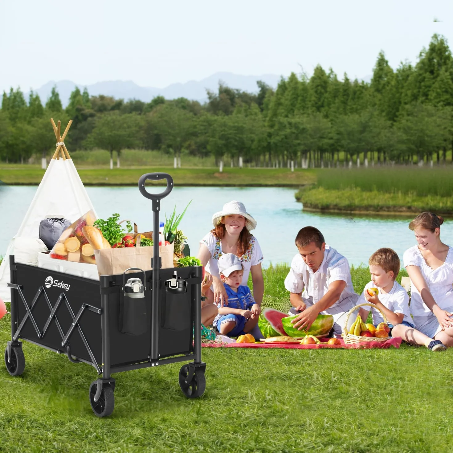 Sekey Carrello pieghevole 60L 80KG Manico Regolabile Nero
