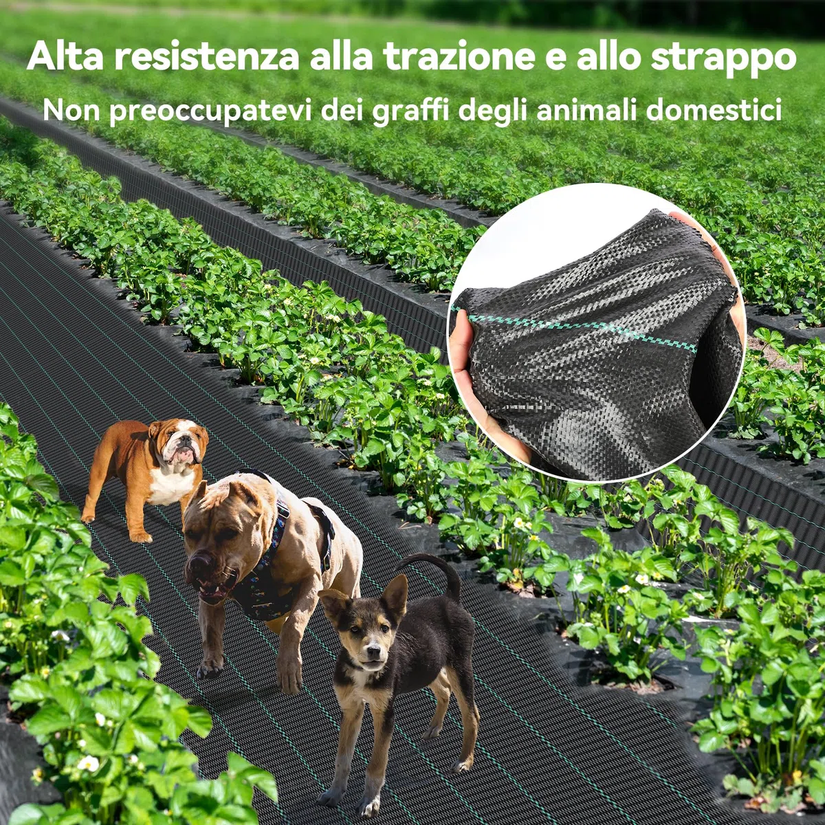 Iropro Telo Pacciamatura Anti Erbacce 4m x 25m 100m² Tessuto Permeabile all'Acqua Stabilizzazione ai Raggi UV