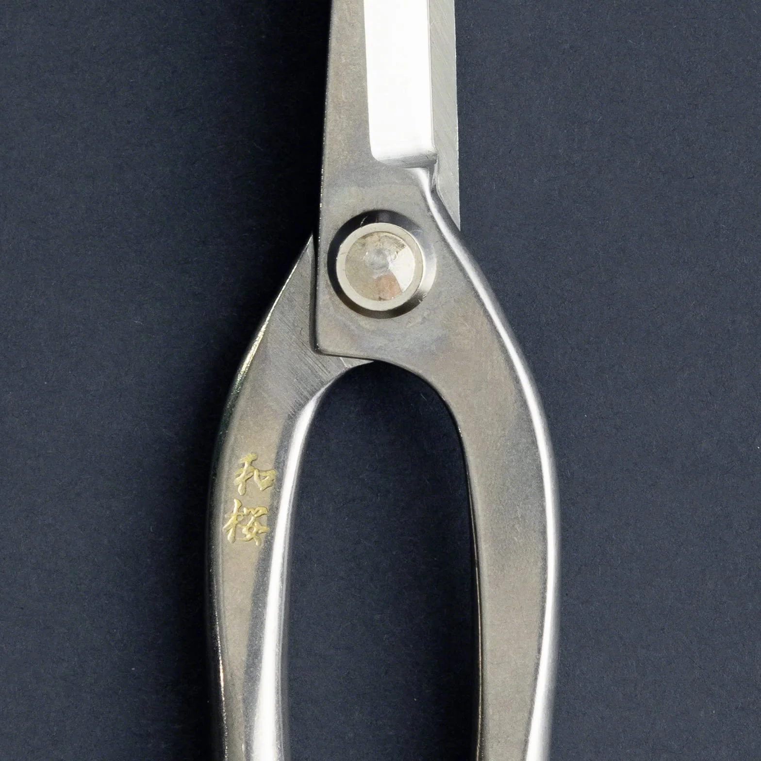Forbici Ashinaga per Bonsai in Acciaio Inox Yasugi 200 mm Wazakura Giappone