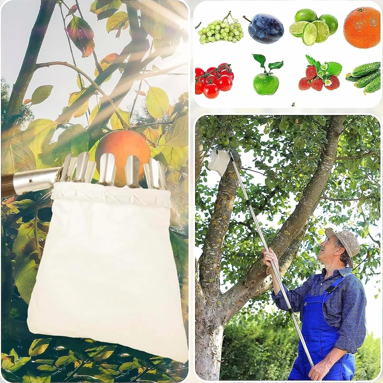 Raccoglitore di Frutta da 4.2m con Manico telescopico-Raccoglitore di Mele con Sacchetti di Tessuto,Raccogli Frutta Regolabile in Altezza per Limoni,Mele,Pere,Pesche,Manghi Arance.