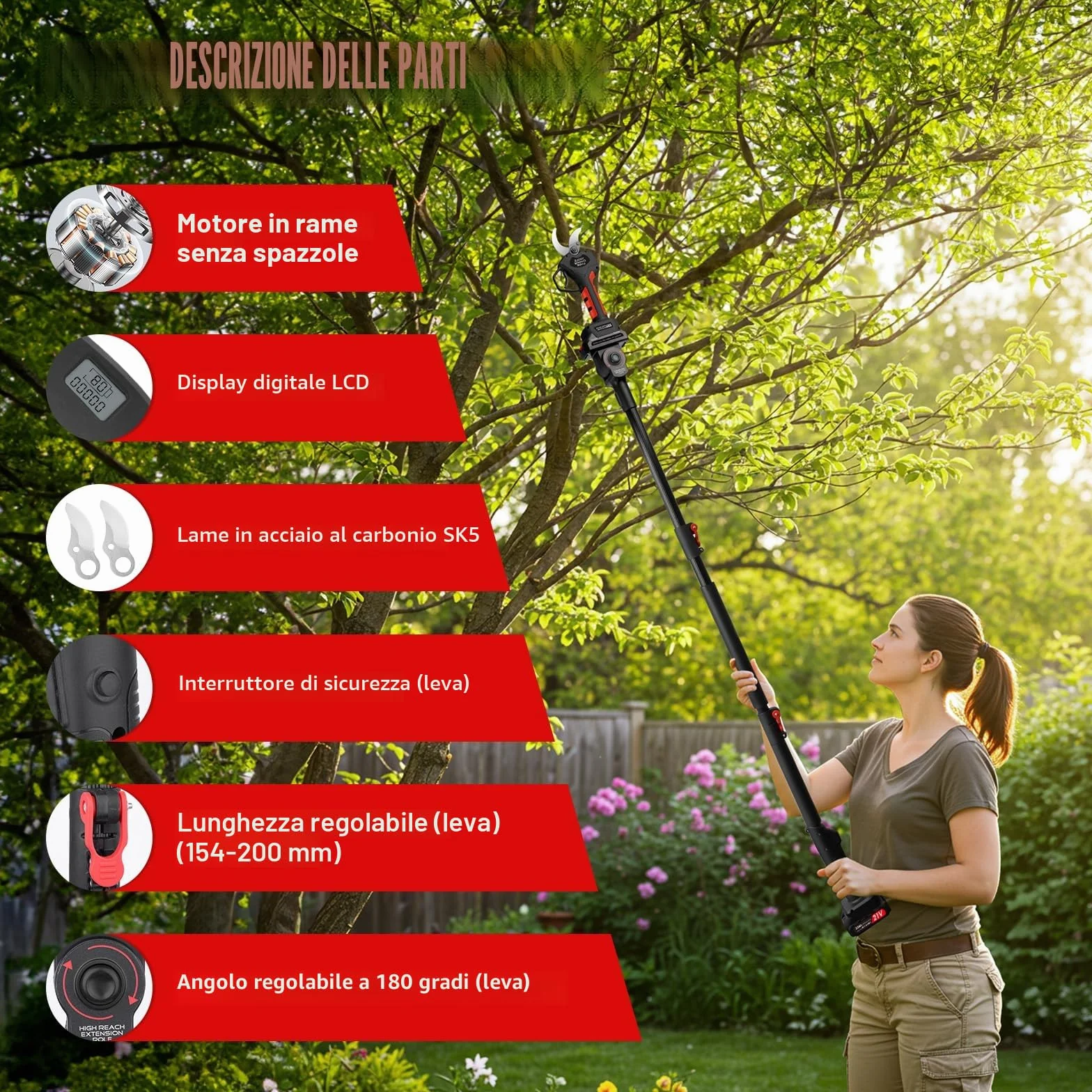 50mm Forbici Potatura a Batteria con Asta: Forbice Potatura a Batteria Telescopica 2,4m con Motore Brushless, 2 Batterie da 2000mAh 21V, Cesoie a Batteria per Potatura per Ulivi, Vigneti, Giardino