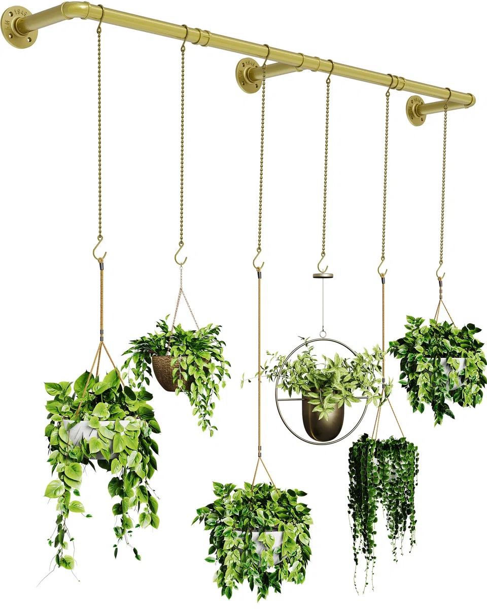 SOFITORG Appendiabiti per piante da interno, fioriere sospese per piante da interno con 6 catene sospese, asta per piante da parete per soffitto di finestre, 165 cm, metallo/oro..