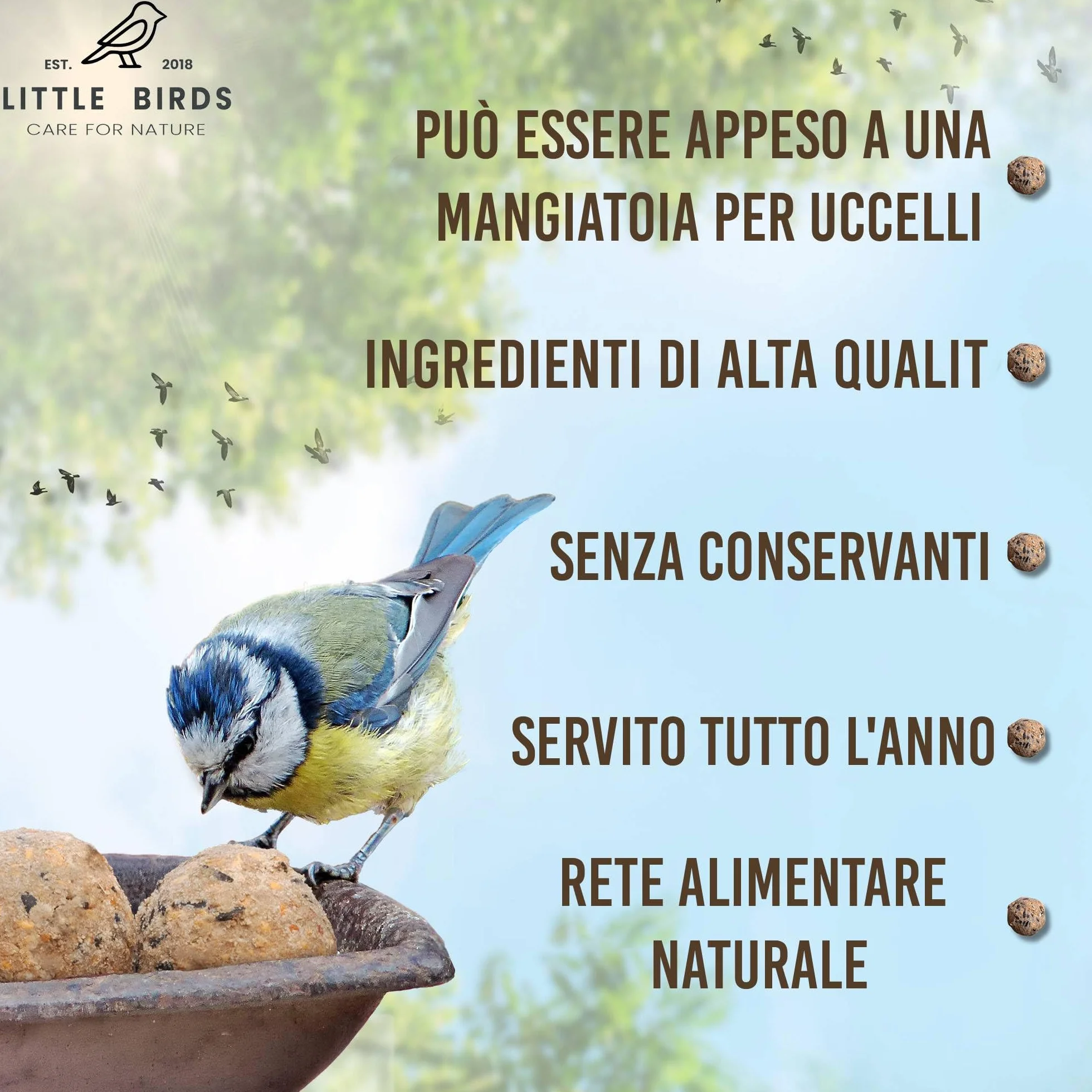 Care4Nature 100 Palline di Grasso per Uccelli Selvatici - Ingredienti Naturali