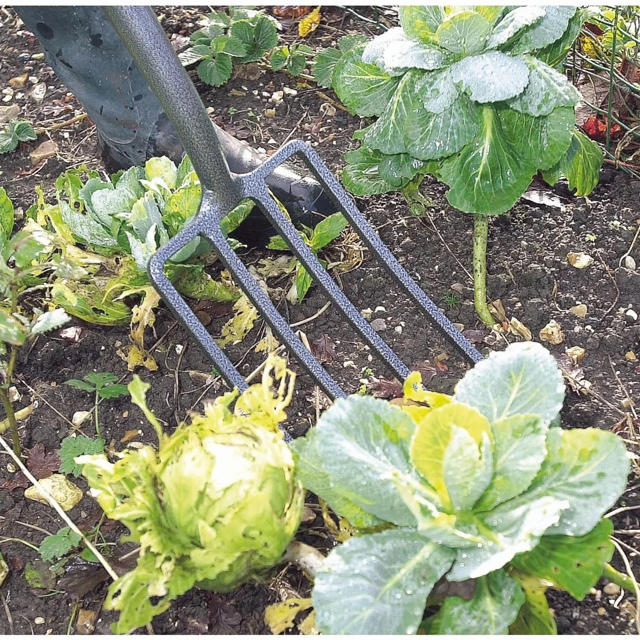 Draper Forca da Giardino in Acciaio al Carbonio 88789