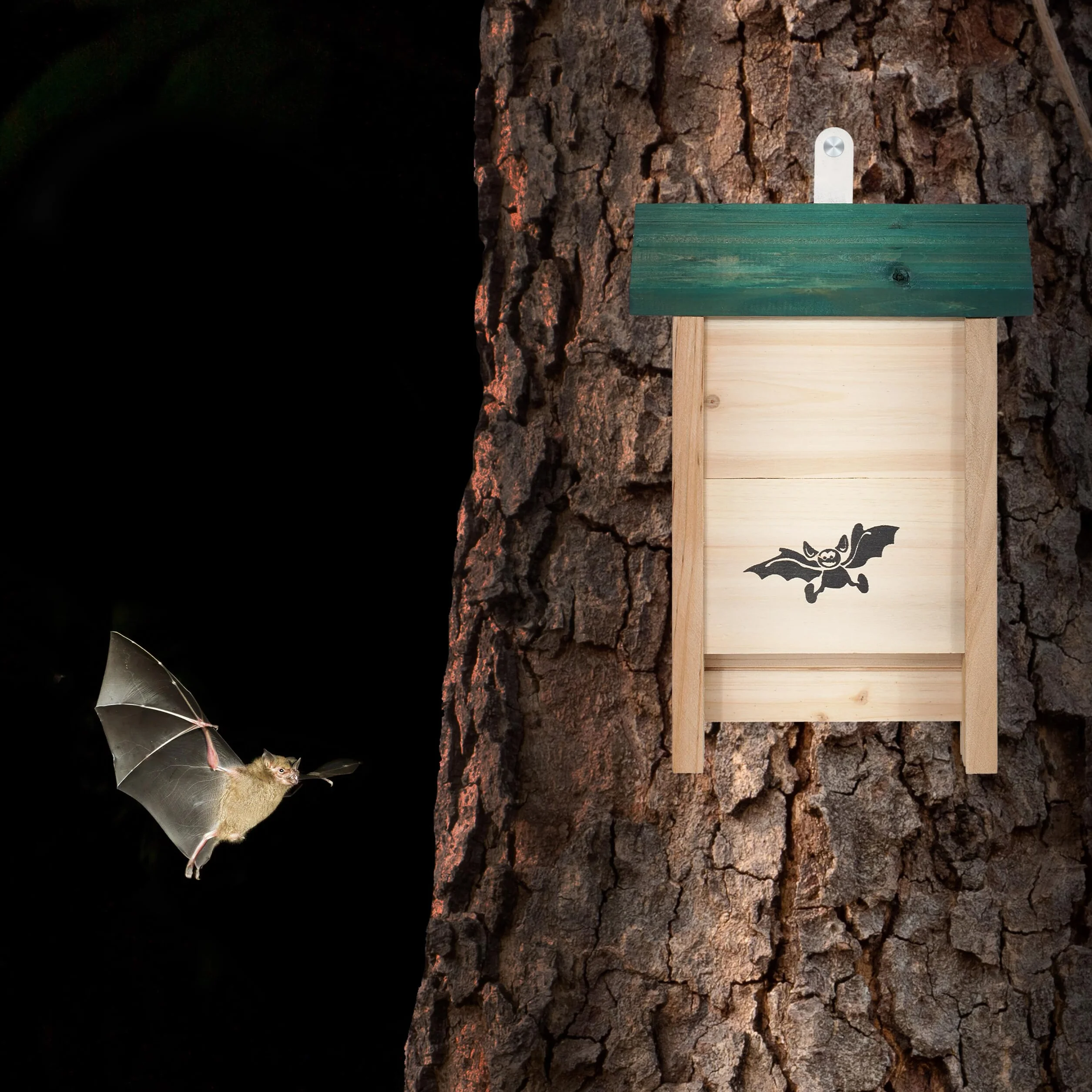 Relaxdays Casetta per Pipistrelli in Legno Set da 4 Naturale Verde HBT 25 x 18 x 6 cm