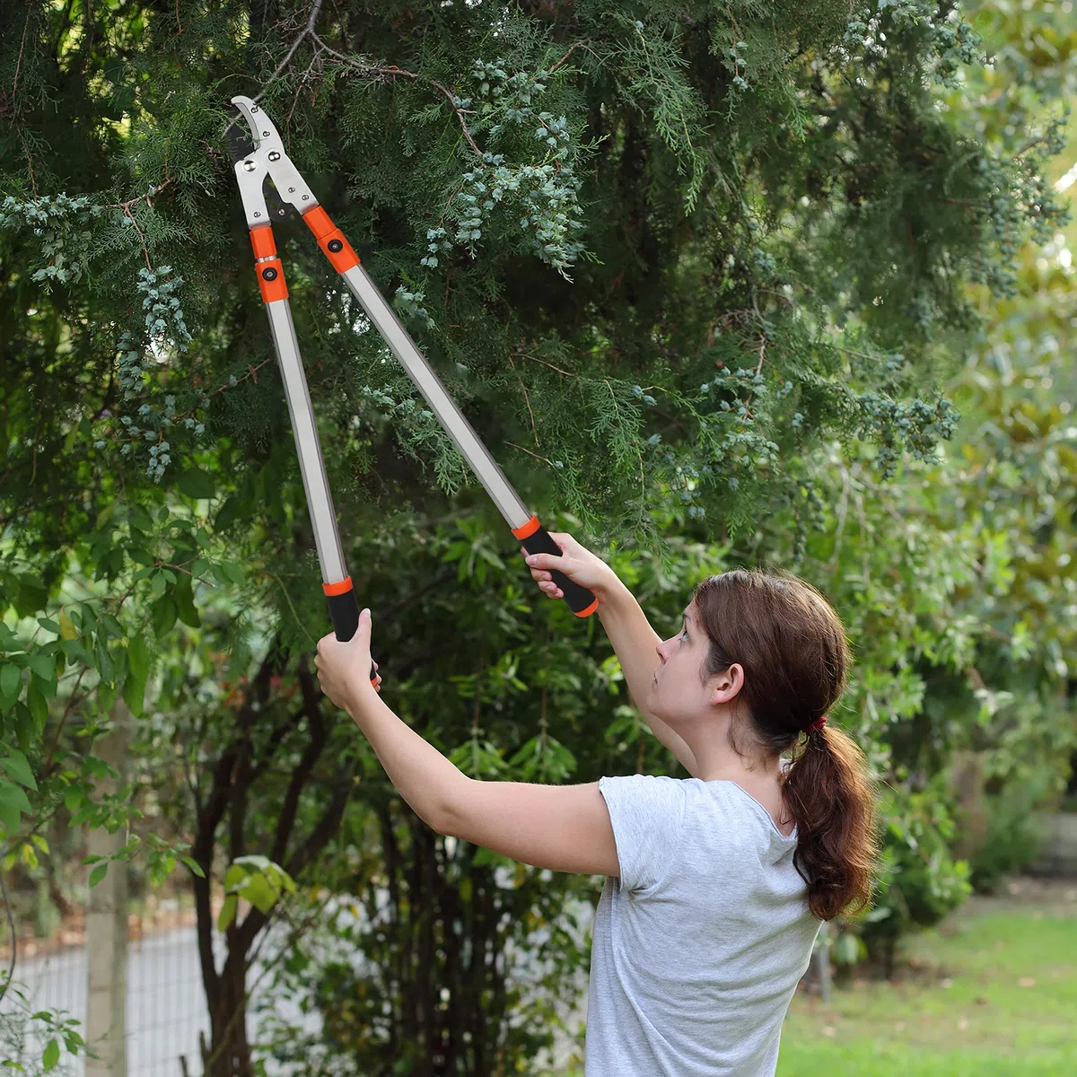 Kurtzy Cesoia Troncarami Telescopico a Incudine 67-100 cm Professionale per Alberi e Rami Spessi da Giardino