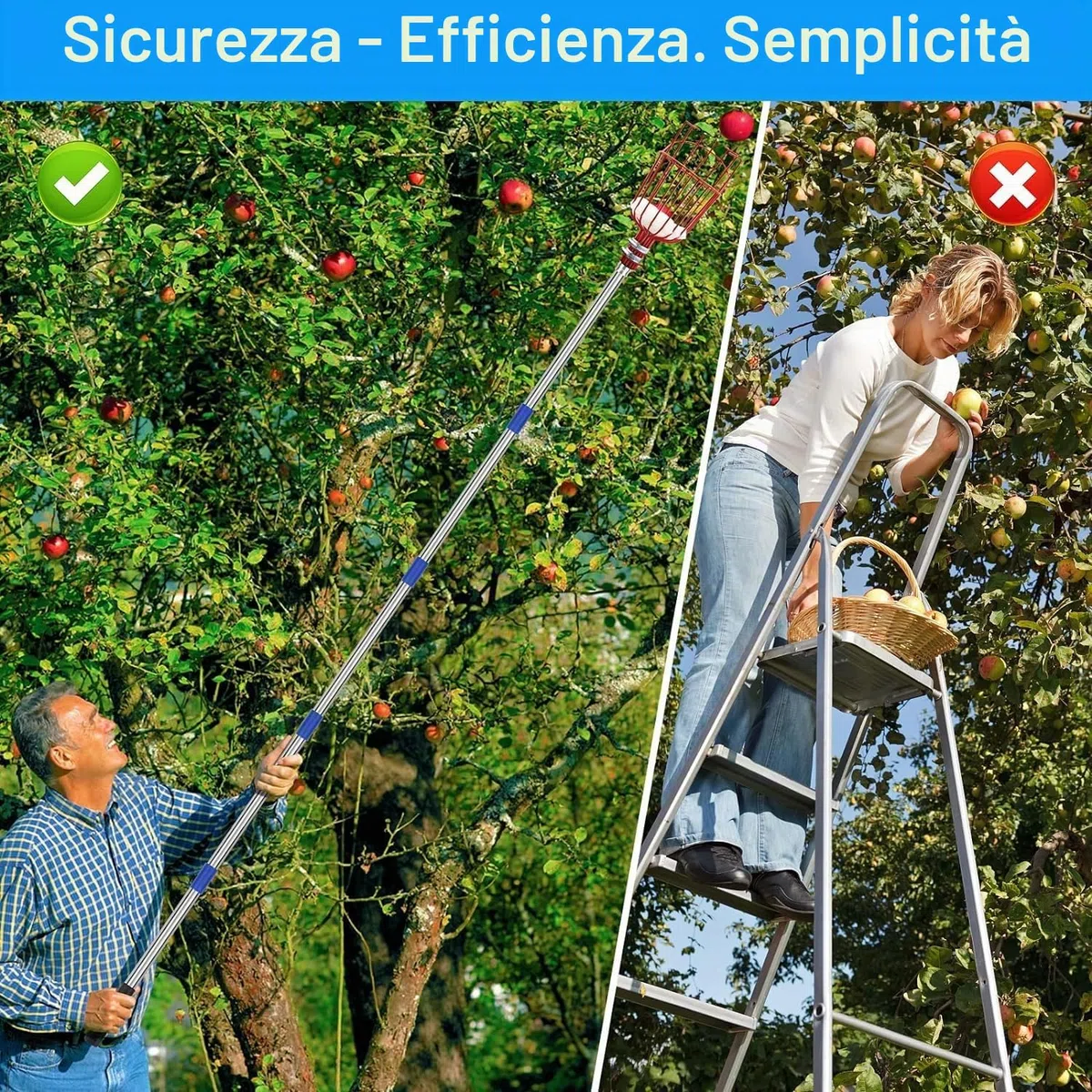 Raccoglitore di Frutta, Raccogli Frutta Olive Cachi Mela Arancia, Raccoglitrice con Palo in Acciaio Inox Leggero con Cuscinetto di Protezione, Strumento per Raccolta della Frutta Alto 4m Fruit Picker