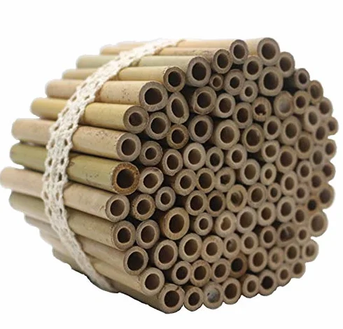 Tubi di bambù 10 cm per api selvatiche insetti inverno giardino balcone