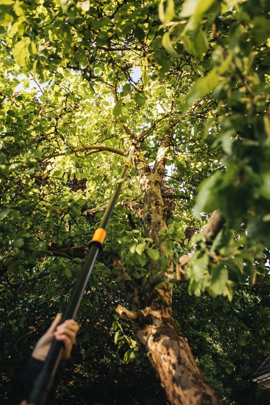 Fiskars Set Svettatoio Telescopico Bypass, Lama Acciaio, Manico Alluminio, 2,4-4 m, UPX86, Seghetto Acciaio Temprato 46 cm