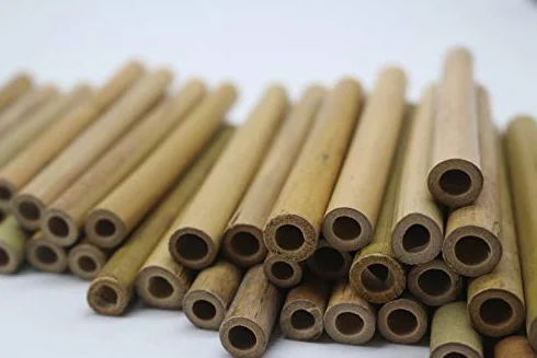 Tubi di bambù 10 cm per api selvatiche insetti inverno giardino balcone