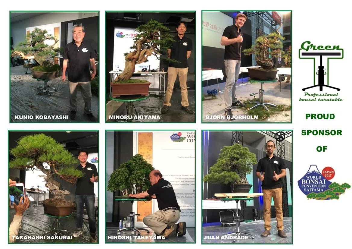 Tavolo professionale da lavoro con ventosa per Bonsai Shohin Green-T