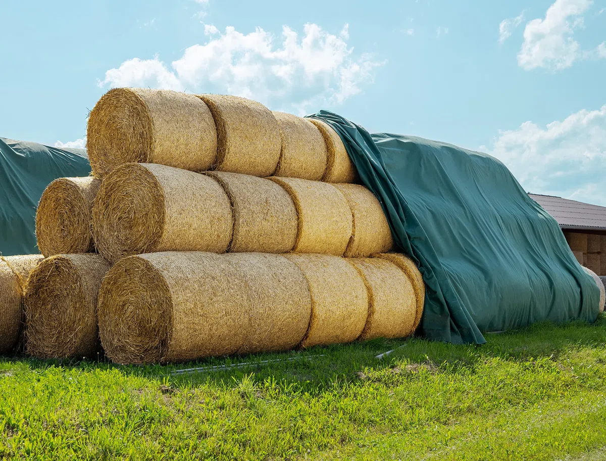 AGRIplus Telo di Copertura, 10,4 x 25 m (260 m²), 140 g/m², Tessuto di Paglia, Versatile, Estremamente Resistente allo Strappo per Una Protezione a Lungo Termine, Resistente ai Raggi UV
