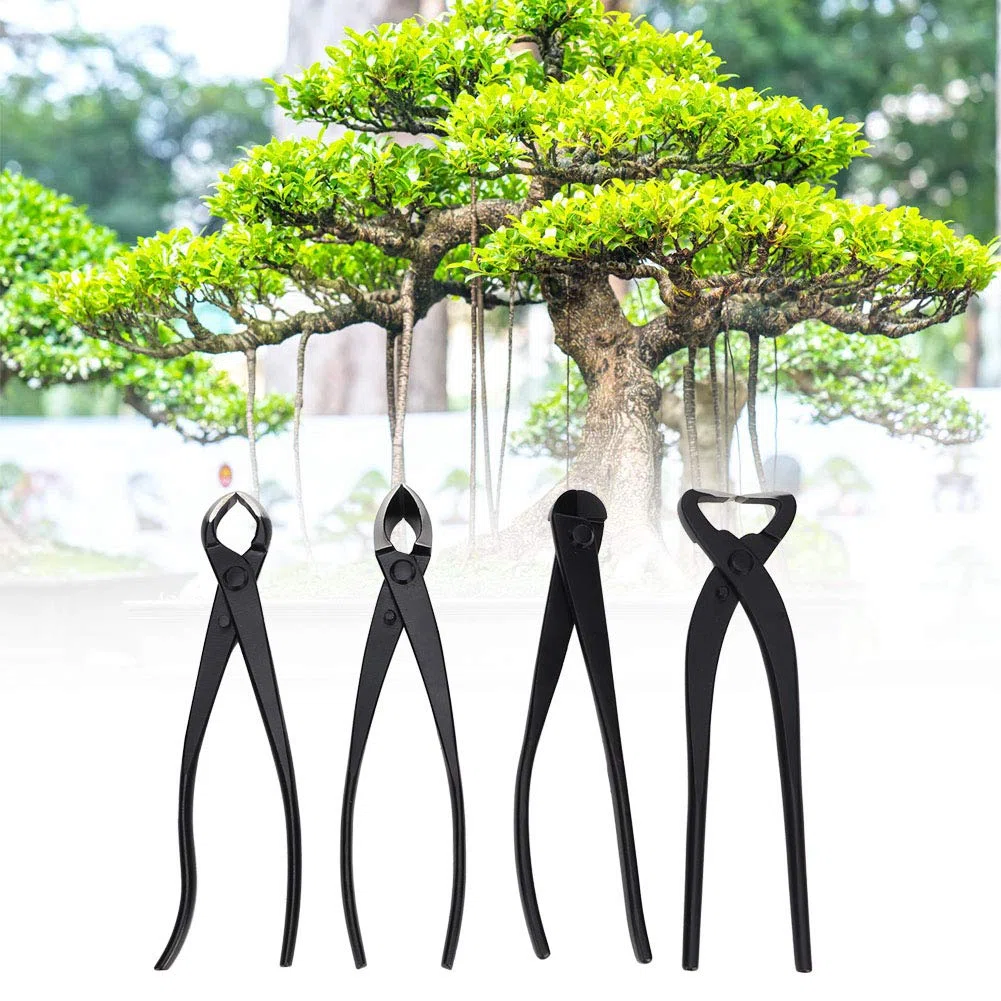 Set di Attrezzi per Bonsai, Kit di Taglio da Giardino, Acciaio Inossidabile di Alta qualità per Frutteto