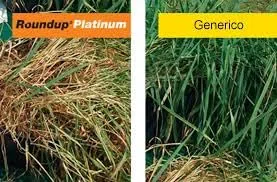 Roundup Platinum Future 5L Diserbante Erbicida Sistemico Glifosate