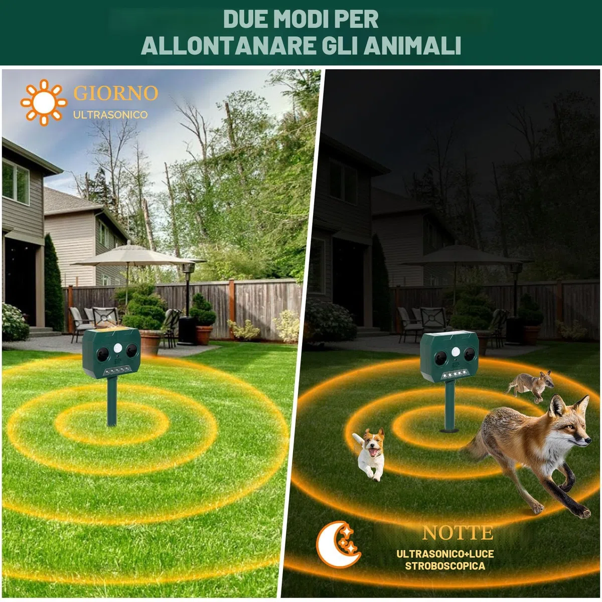 RAYGARD 2 Pezzi Dissuasore Gatti, Repellente per Volpi Ultrasonico Solare con Luce LED, 12m 120° Dissuasori per Piccioni Giardino IP45 Impermeabile per Gatti Volpi Cani Cervo Procioni