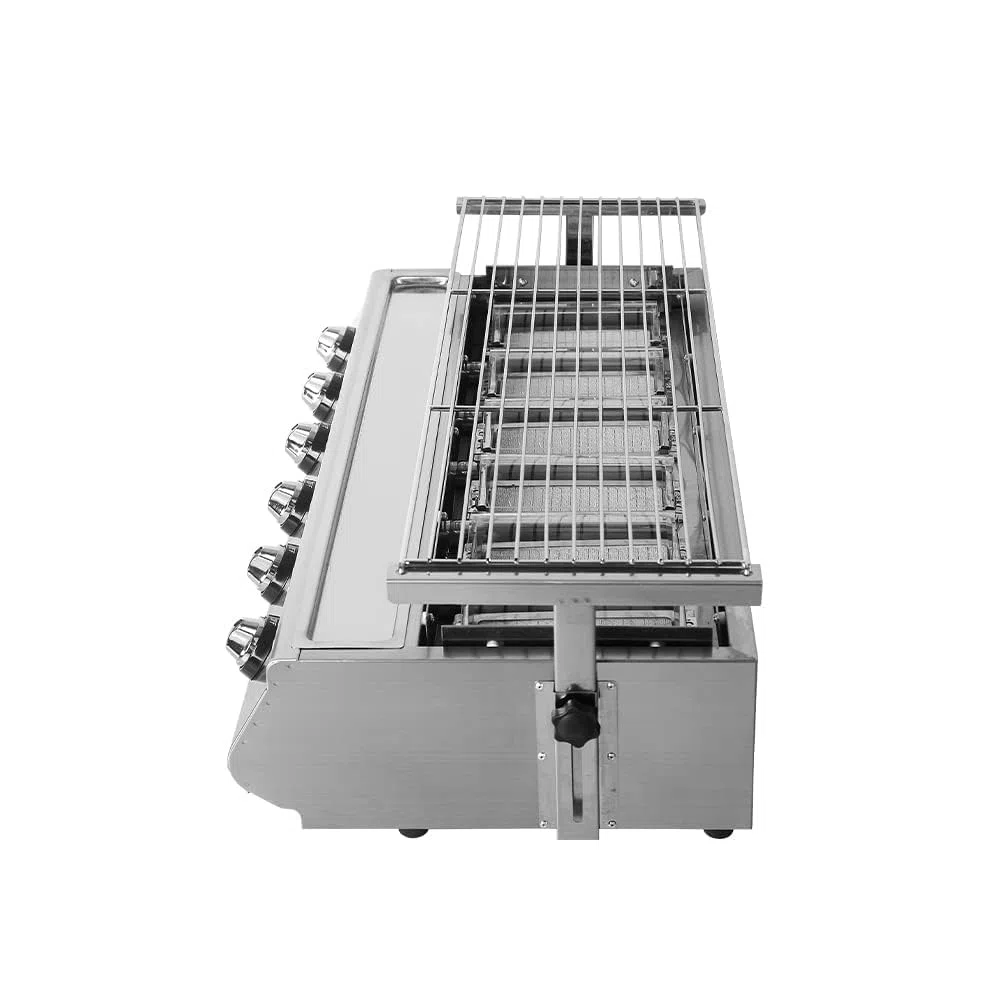 Barbecue a gas 6 fuochi portatile con vassoio antiaderente