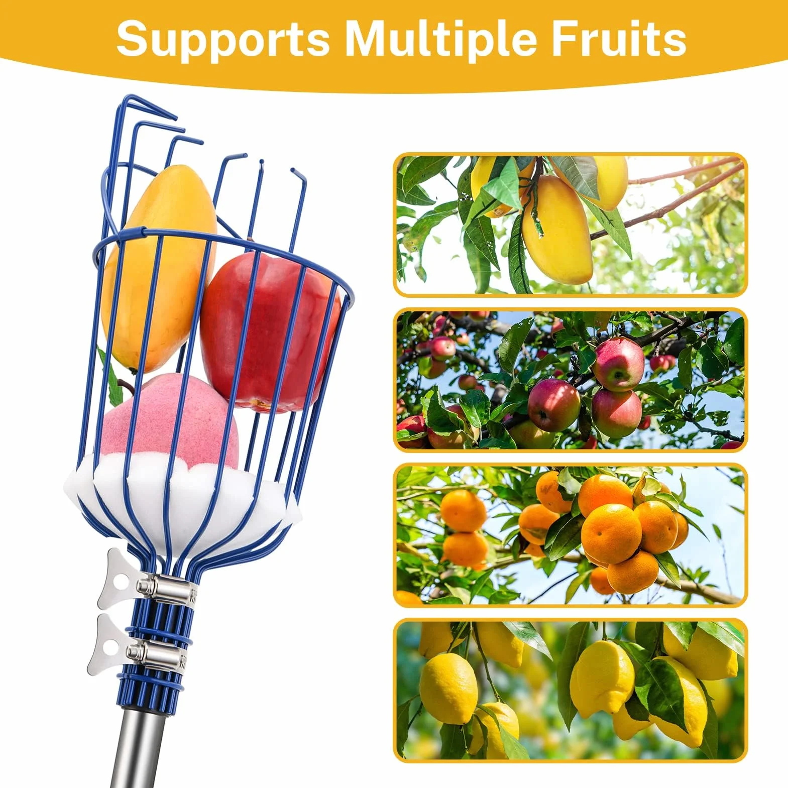 MaidMAX Raccoglitore di Frutta, 4m Fruit Picker, Raccoglifrutta Arancia Mela Raccoglitrice con Palo in Acciaio Inox Leggero, Cestino Robusto con Cuscinetto in Schiuma, Morsetto in Metallo