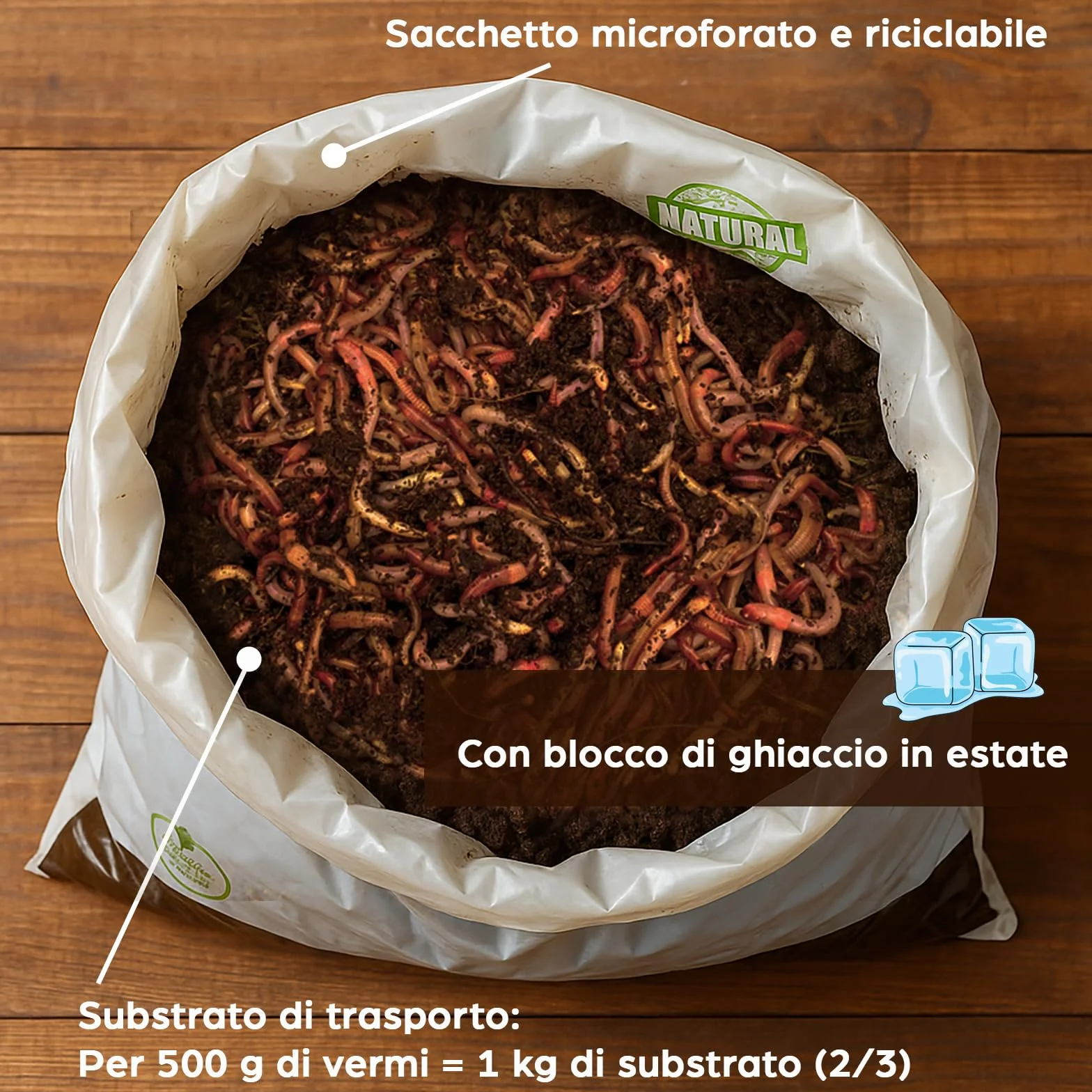 Lombrichi da 500g (circa 1,000 pz.) | Vermi vivi da terra Eisenia, crea un compost con i tuoi rifiuti organici - Per vermicompostaggio/composter/giardino