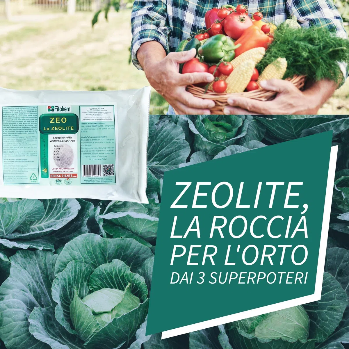 Fitokem Zeo Zeolite per Piante 6kg Polvere di Roccia per Agricoltura