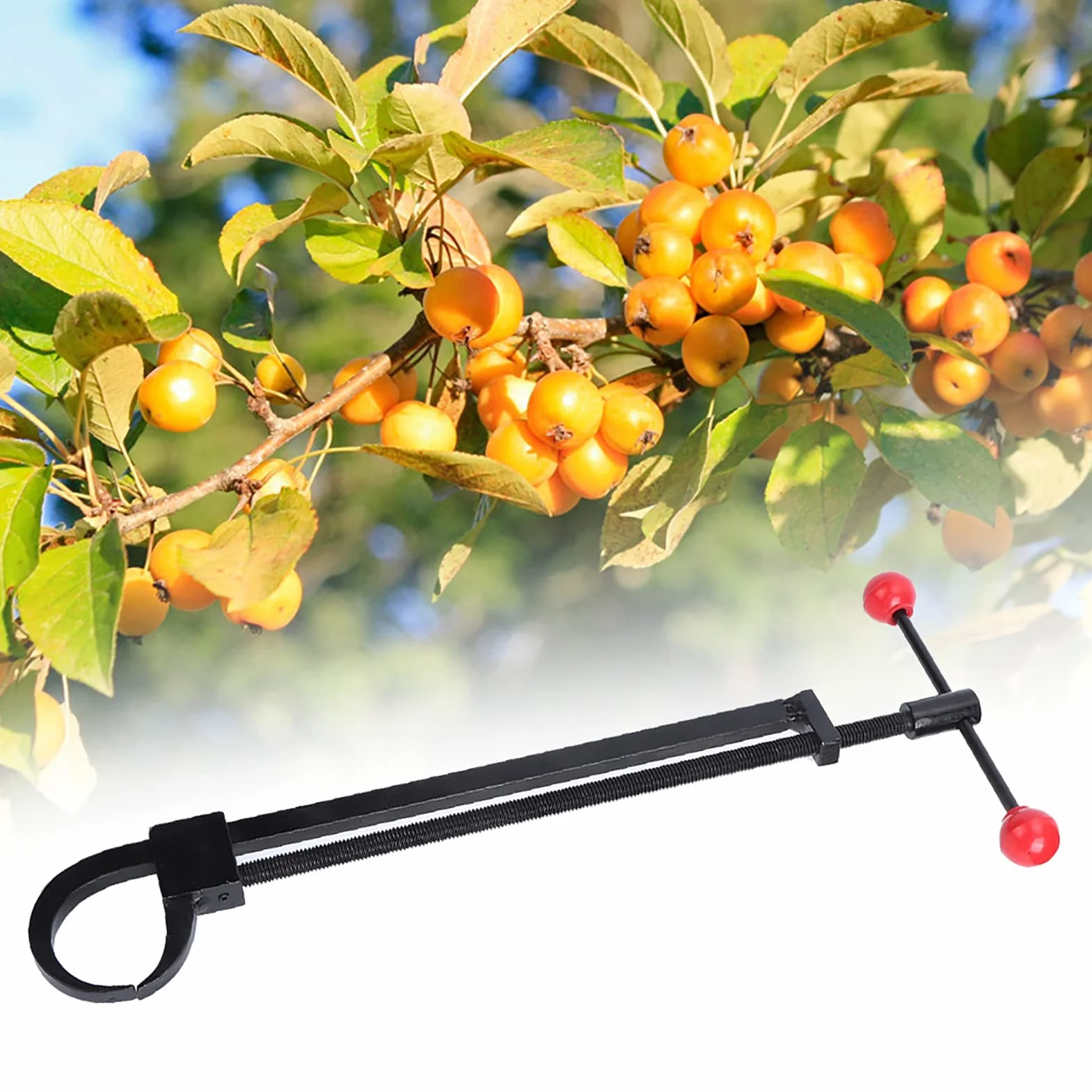 Piega Rami Bonsai Regolabile, per Piegare Rami Pesanti, Jack Bonsai in Acciaio al Manganese, Strumento Bonsai per Piegare e Formare per Addestrare e Curare Alberi Bonsai