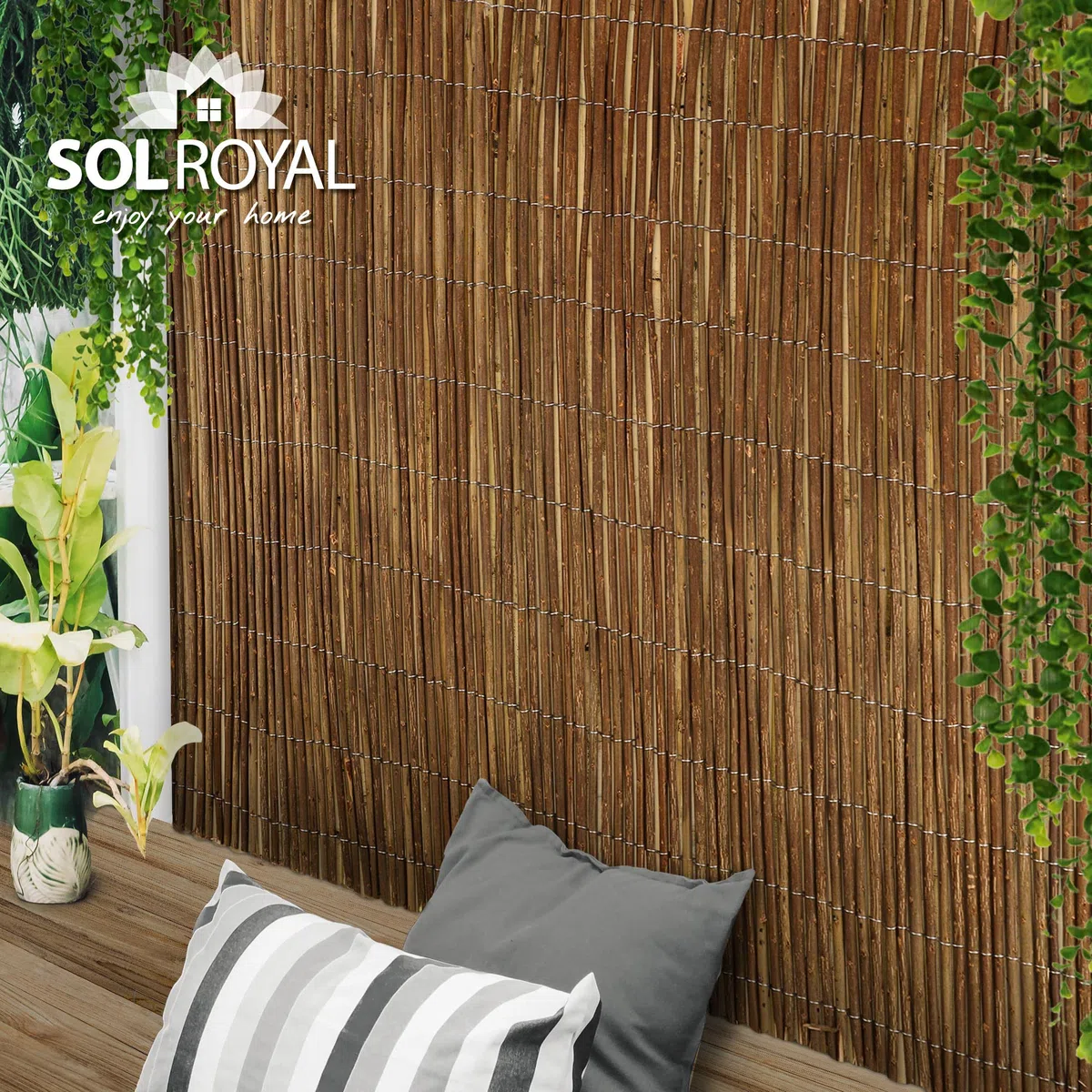 Sol Royal Arella Vimini Frangivista Frangivento SolVision W79 Pannello Recinzione 500x200 cm