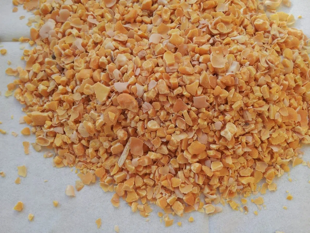 LUPINI MACINATI Sacco kg.25 Fertilizzante Biologico SPECIFICO per AGRUMI (Limone, Arancio, Mandarino, Azalee, CAMELIE)