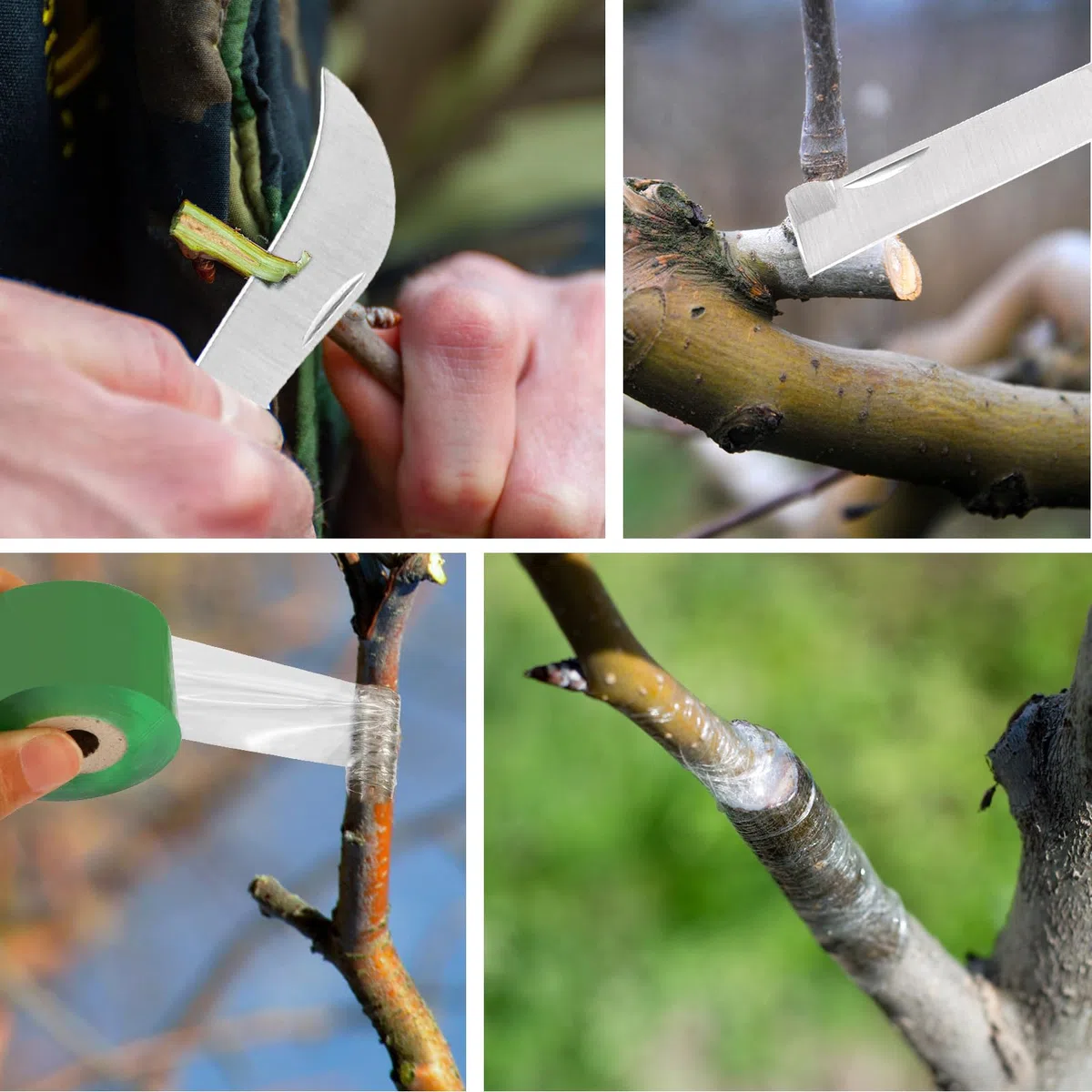 4 Pezzi Coltello da Innesto,Kit di Utensili per Innesto con Nastro Pellicola Innesti Guanti da Giardinaggio,Coltello da Potatura Alberi da Frutto per Piante di Fiori e Rami Germogliare