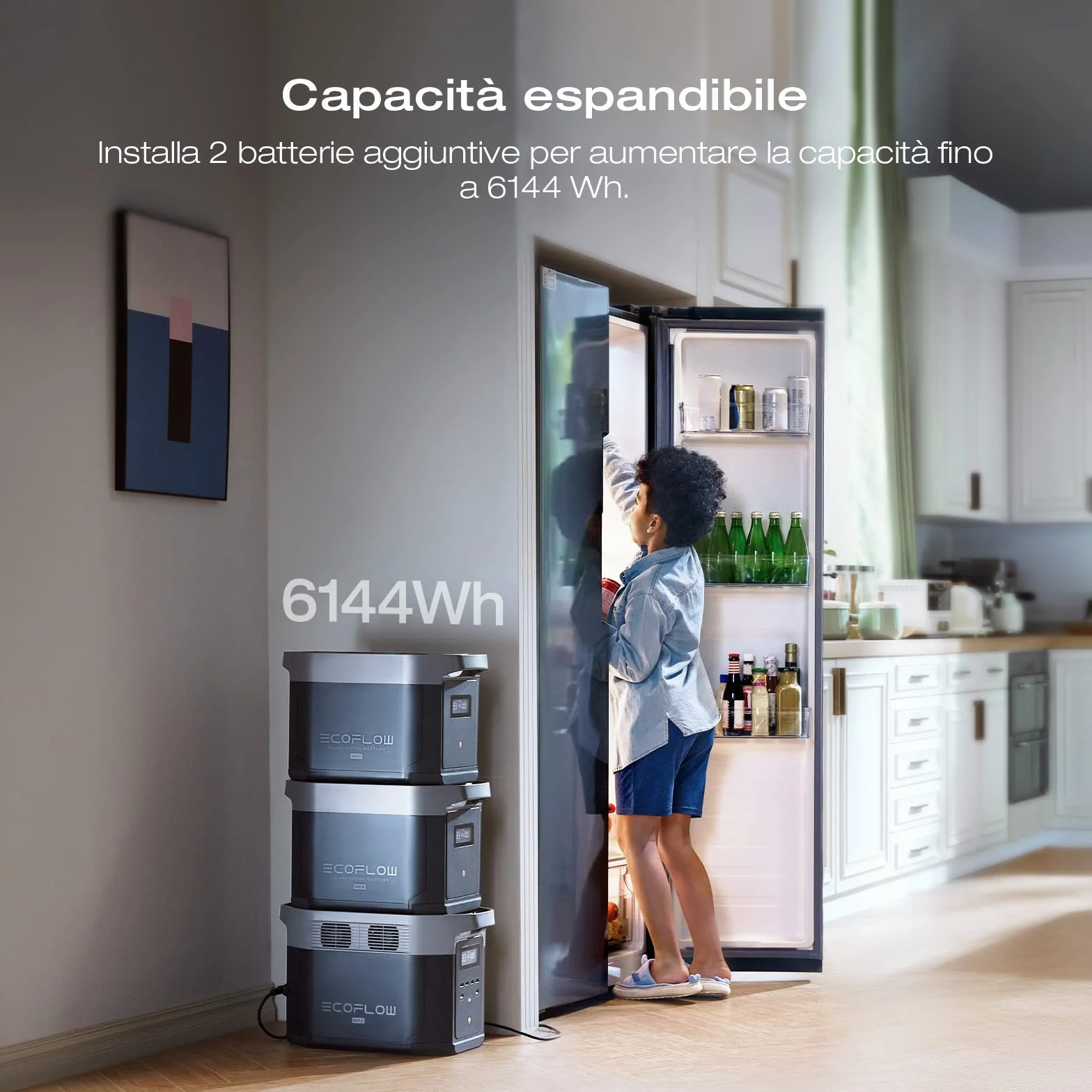 EcoFlow DELTA 2 Max Stazione elettrica portatile 2048Wh