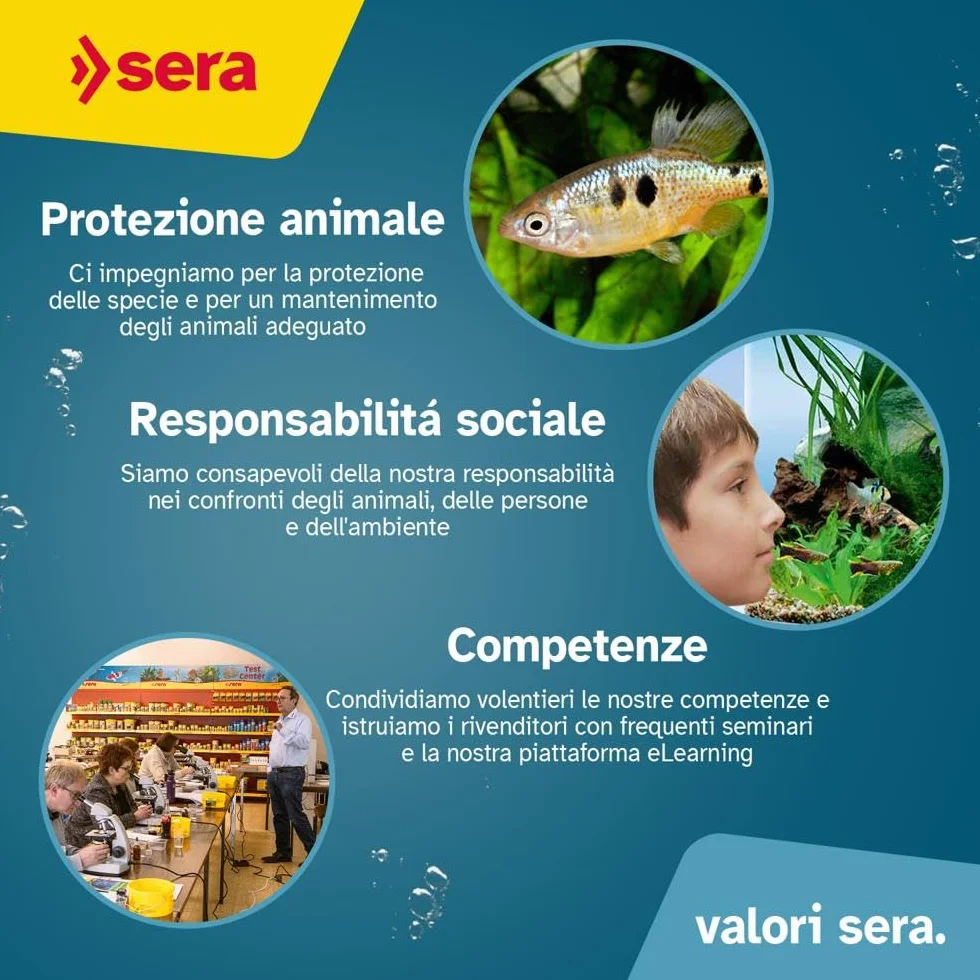 sera Turtle Adult Raffy P Pellets 10L (2,35kg) | Mangime tartarughe acqua per tartaruga adulta carnivora | Pellet ricchi di proteine per tortoise acquatiche | Principale per tartarughe d'acqua